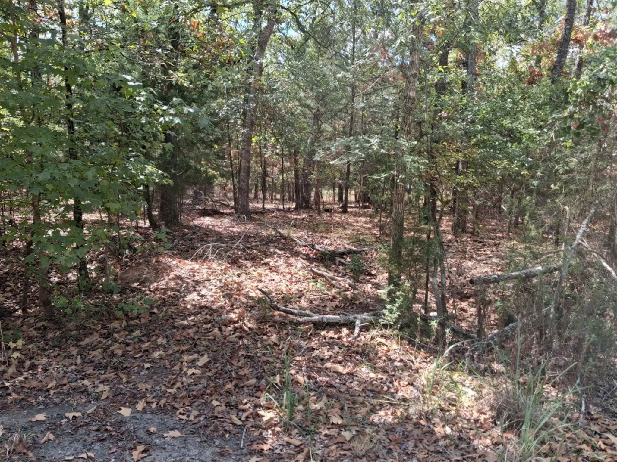 View of lake lot