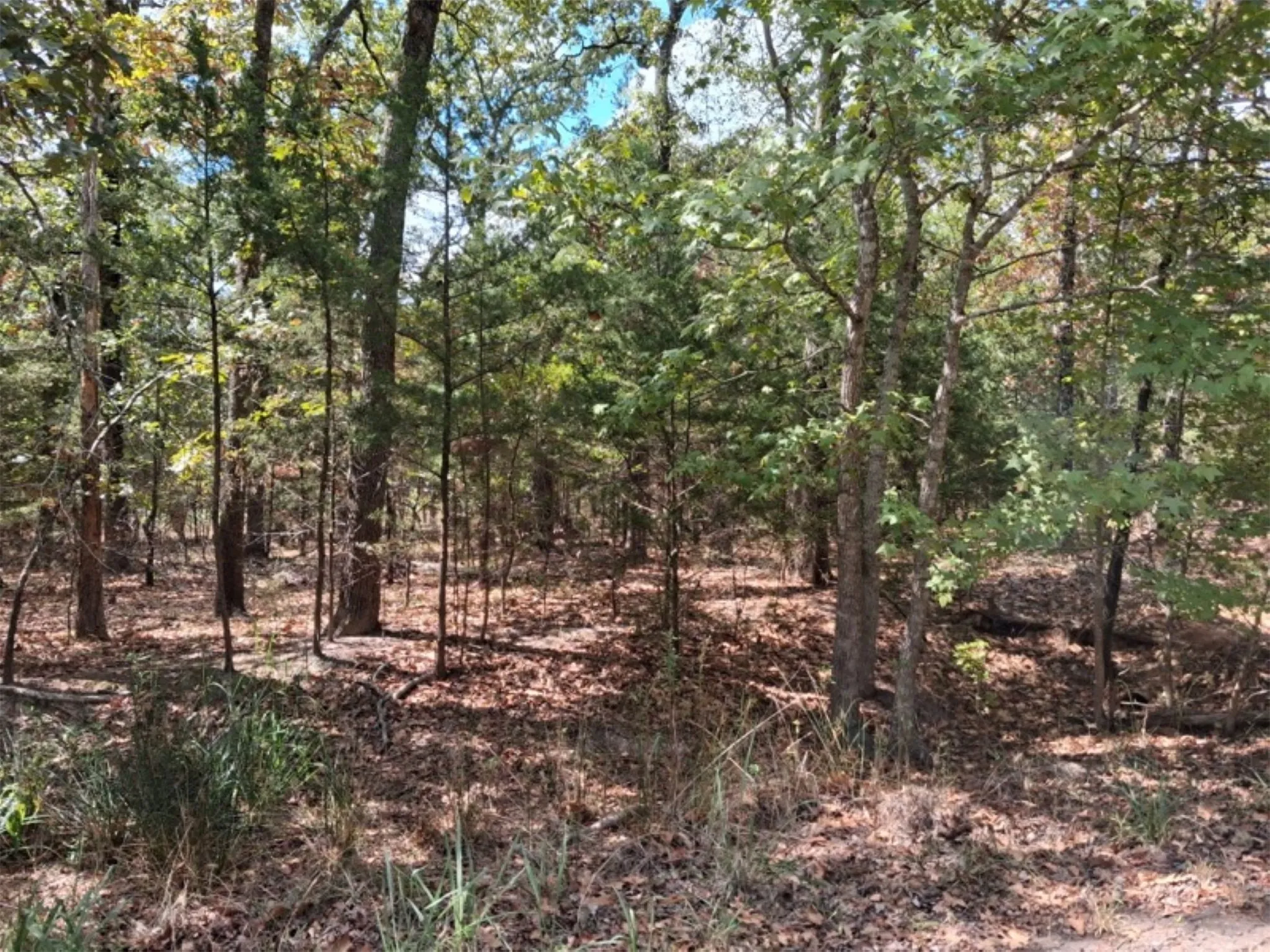 0.24 acre lot (almost 1/4 acre)