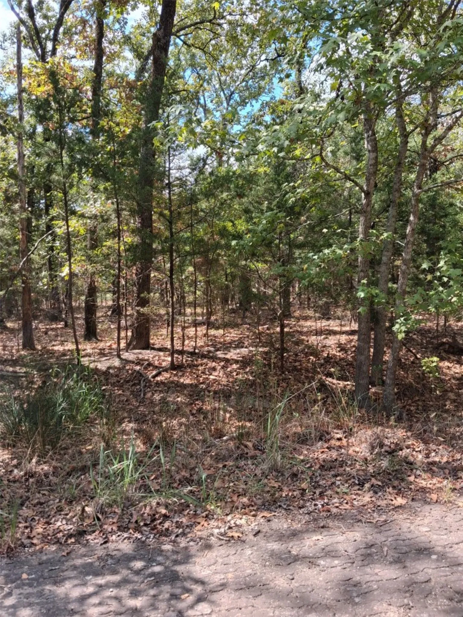 Close up of lot
