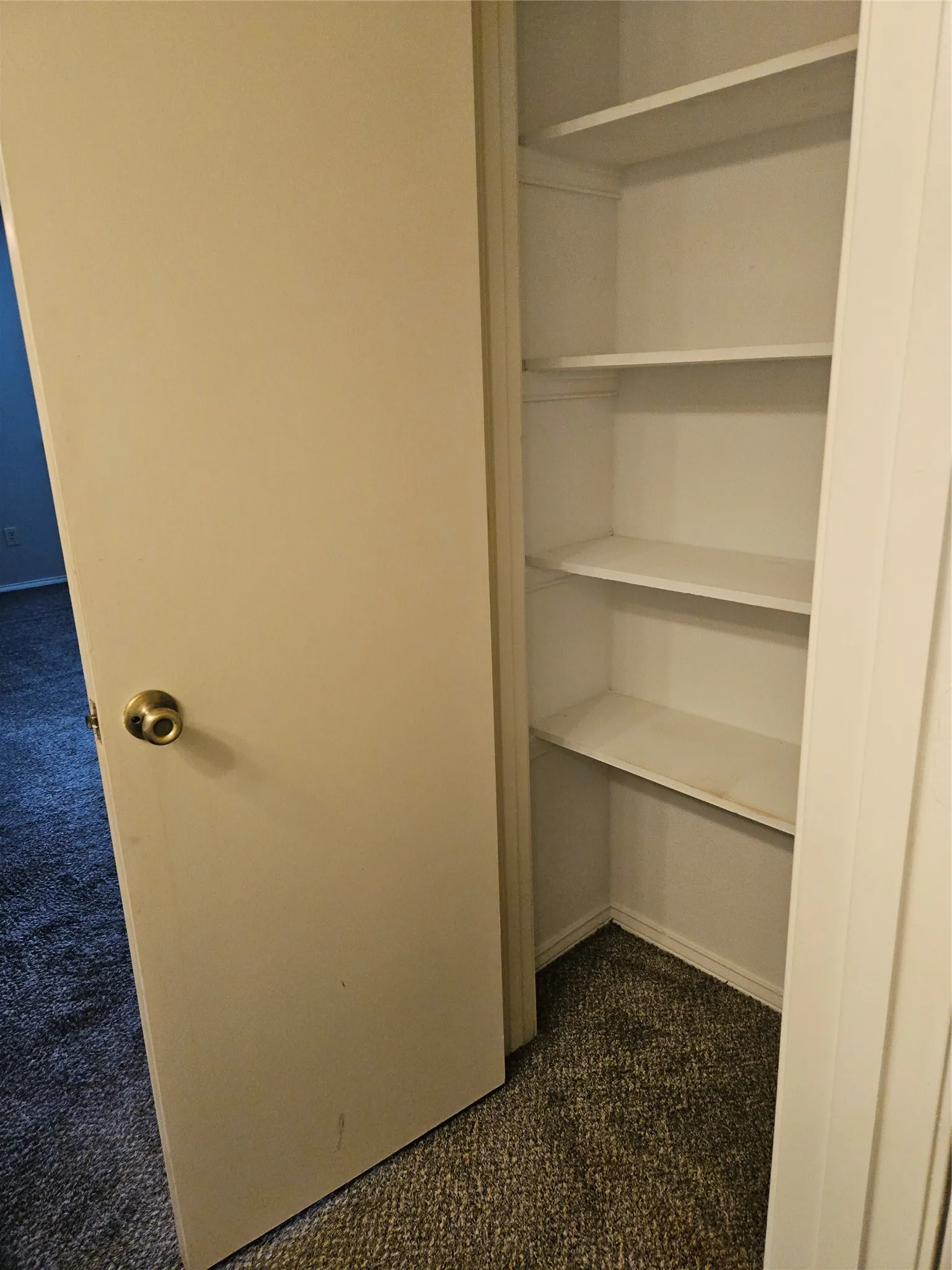 810 - Bathroom storage across from outer vanity.