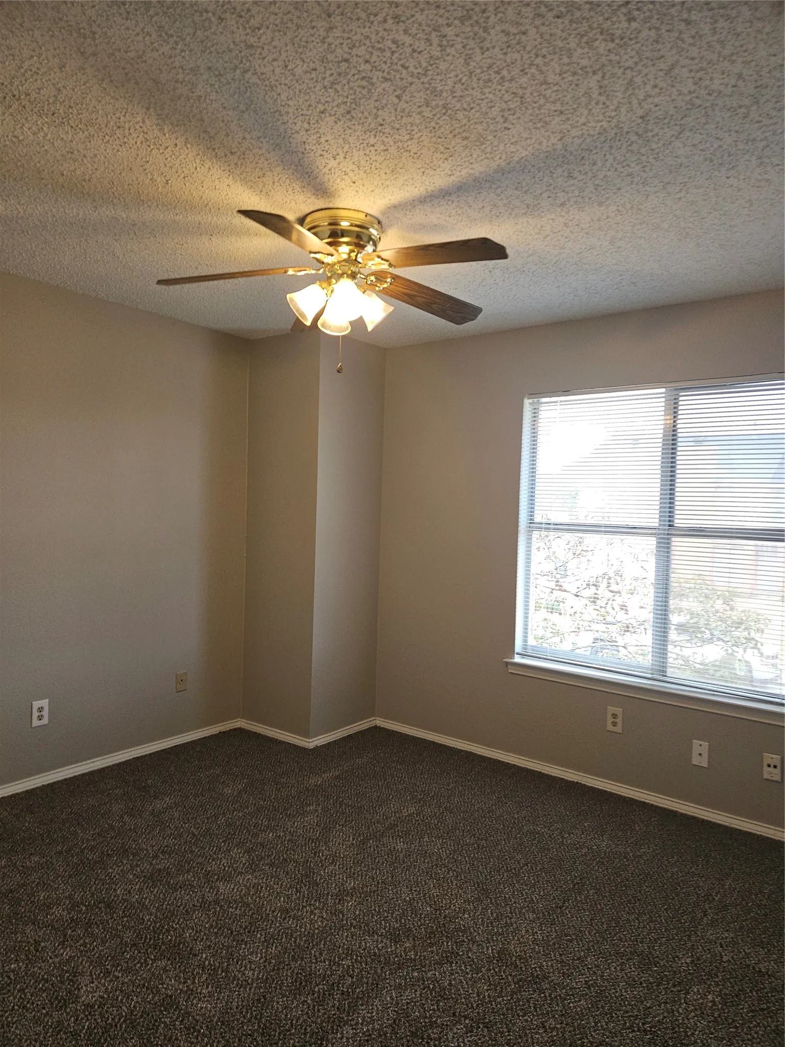 810 - Bedroom with one closet and ceiling fan.