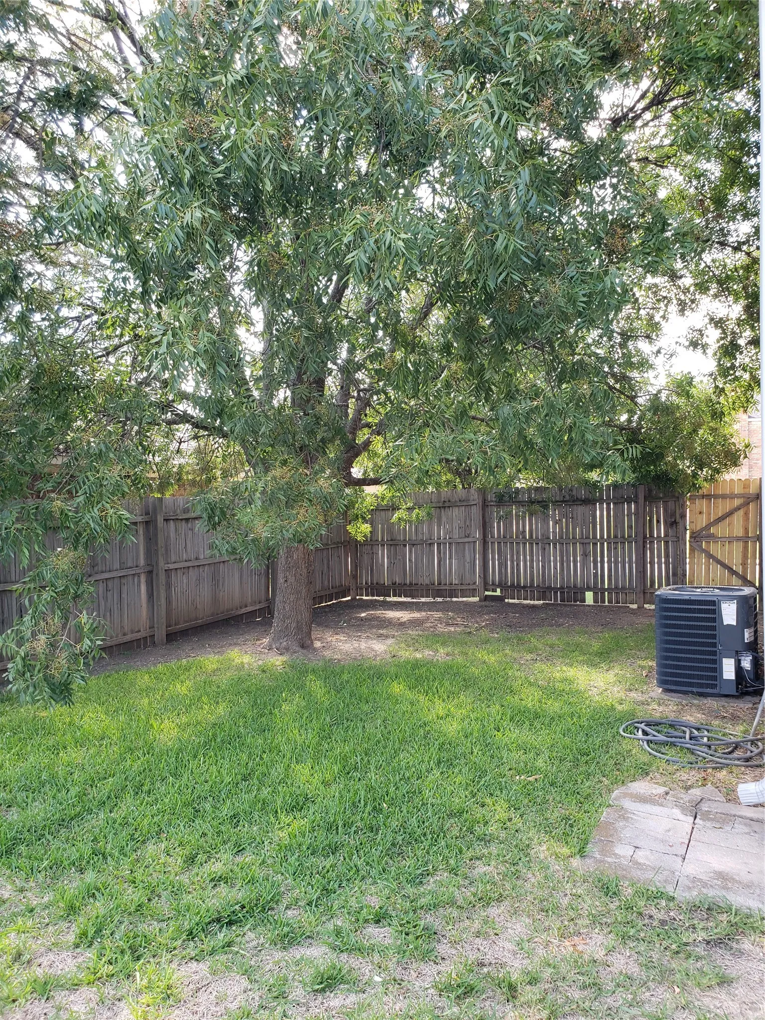 808 - Fenced backyard with grass, and tree for shade.