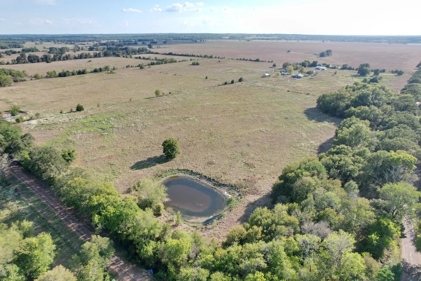 Ranch For Sale in Leon County , 8698 County Road 239, Oakwood, Texas 75855, 0, 0, Garage spaces, 0 Sqft, built in 2021, mls#21389534, Real Estate Agent in Oakwood, Homes For Sale in Leon county, Homes For Sale in Oakwood, Realtor in Oakwood Texas, Real Estate Brokerage Independent Realty Texas, Luminita Cordes Realtor