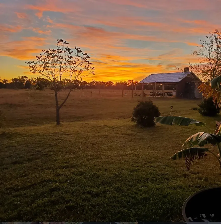 Ranch For Sale in Leon County , 8698 County Road 239, Oakwood, Texas 75855, 0, 0, Garage spaces, 0 Sqft, built in 2021, mls#21389534, Real Estate Agent in Oakwood, Homes For Sale in Leon county, Homes For Sale in Oakwood, Realtor in Oakwood Texas, Real Estate Brokerage Independent Realty Texas, Luminita Cordes Realtor