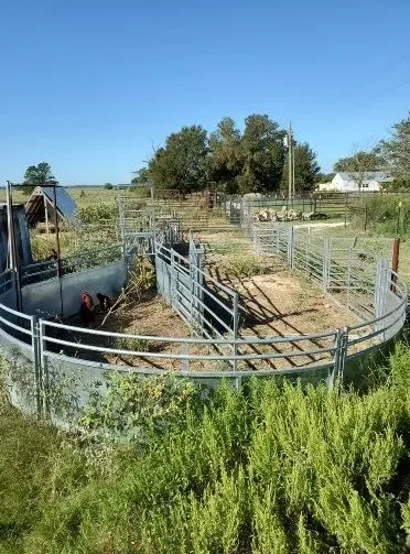 Ranch For Sale in Leon County , 8698 County Road 239, Oakwood, Texas 75855, 0, 0, Garage spaces, 0 Sqft, built in 2021, mls#21389534, Real Estate Agent in Oakwood, Homes For Sale in Leon county, Homes For Sale in Oakwood, Realtor in Oakwood Texas, Real Estate Brokerage Independent Realty Texas, Luminita Cordes Realtor
