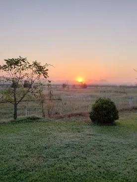 Ranch For Sale in Leon County , 8698 County Road 239, Oakwood, Texas 75855, 0, 0, Garage spaces, 0 Sqft, built in 2021, mls#21389534, Real Estate Agent in Oakwood, Homes For Sale in Leon county, Homes For Sale in Oakwood, Realtor in Oakwood Texas, Real Estate Brokerage Independent Realty Texas, Luminita Cordes Realtor