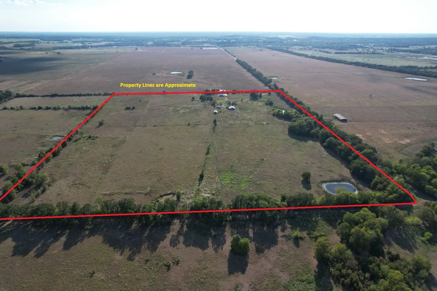 Ranch For Sale in Leon County , 8698 County Road 239, Oakwood, Texas 75855, 0, 0, Garage spaces, 0 Sqft, built in 2021, mls#21389534, Real Estate Agent in Oakwood, Homes For Sale in Leon county, Homes For Sale in Oakwood, Realtor in Oakwood Texas, Real Estate Brokerage Independent Realty Texas, Luminita Cordes Realtor