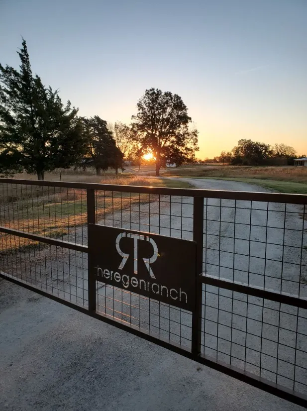 Ranch For Sale in Leon County , 8698 County Road 239, Oakwood, Texas 75855, 0, 0, Garage spaces, 0 Sqft, built in 2021, mls#21389534, Real Estate Agent in Oakwood, Homes For Sale in Leon county, Homes For Sale in Oakwood, Realtor in Oakwood Texas, Real Estate Brokerage Independent Realty Texas, Luminita Cordes Realtor