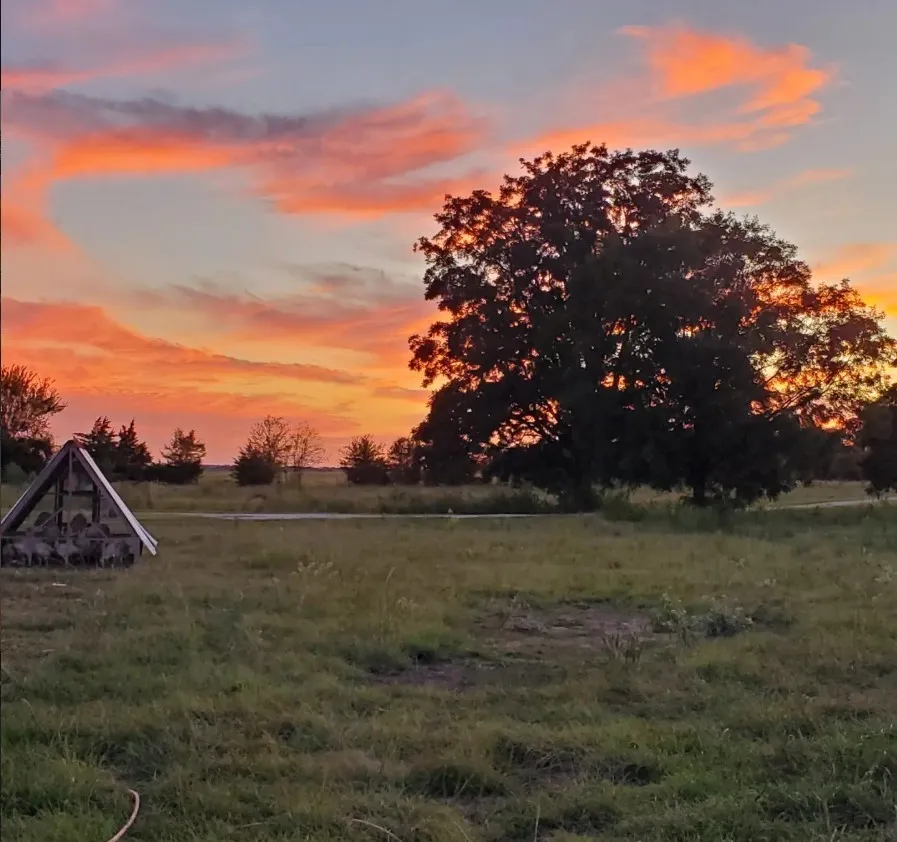Ranch For Sale in Leon County , 8698 County Road 239, Oakwood, Texas 75855, 0, 0, Garage spaces, 0 Sqft, built in 2021, mls#21389534, Real Estate Agent in Oakwood, Homes For Sale in Leon county, Homes For Sale in Oakwood, Realtor in Oakwood Texas, Real Estate Brokerage Independent Realty Texas, Luminita Cordes Realtor