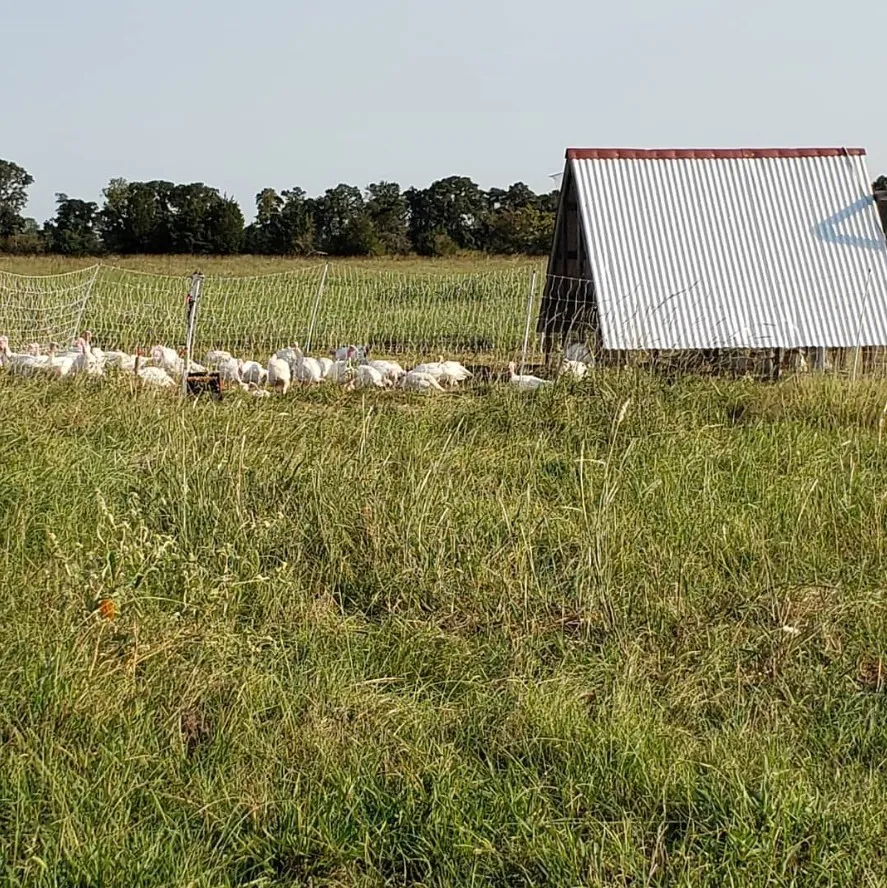 Ranch For Sale in Leon County , 8698 County Road 239, Oakwood, Texas 75855, 0, 0, Garage spaces, 0 Sqft, built in 2021, mls#21389534, Real Estate Agent in Oakwood, Homes For Sale in Leon county, Homes For Sale in Oakwood, Realtor in Oakwood Texas, Real Estate Brokerage Independent Realty Texas, Luminita Cordes Realtor