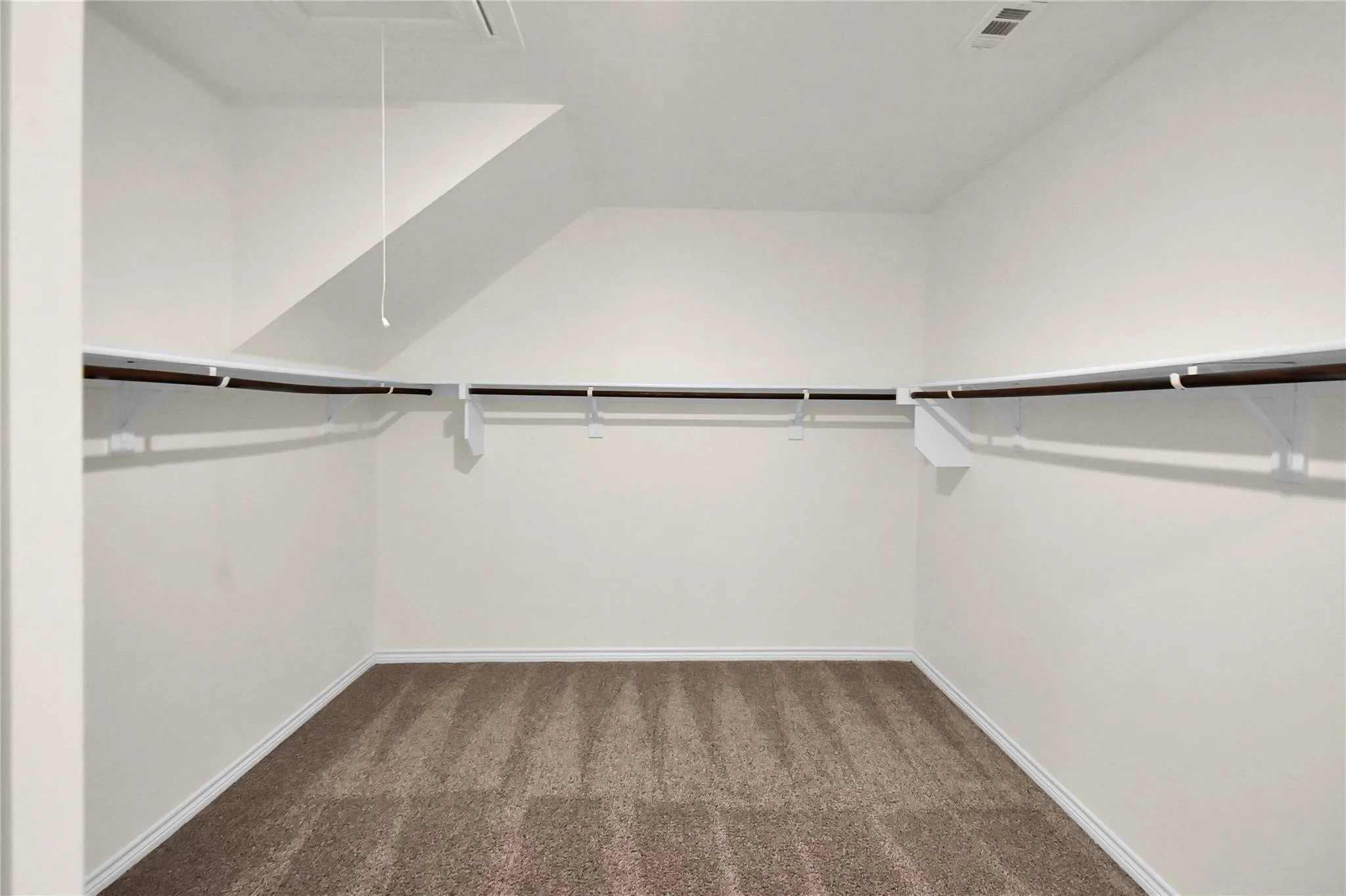 Expansive closet featuring wraparound shelving, hanging rods, and carpet flooring