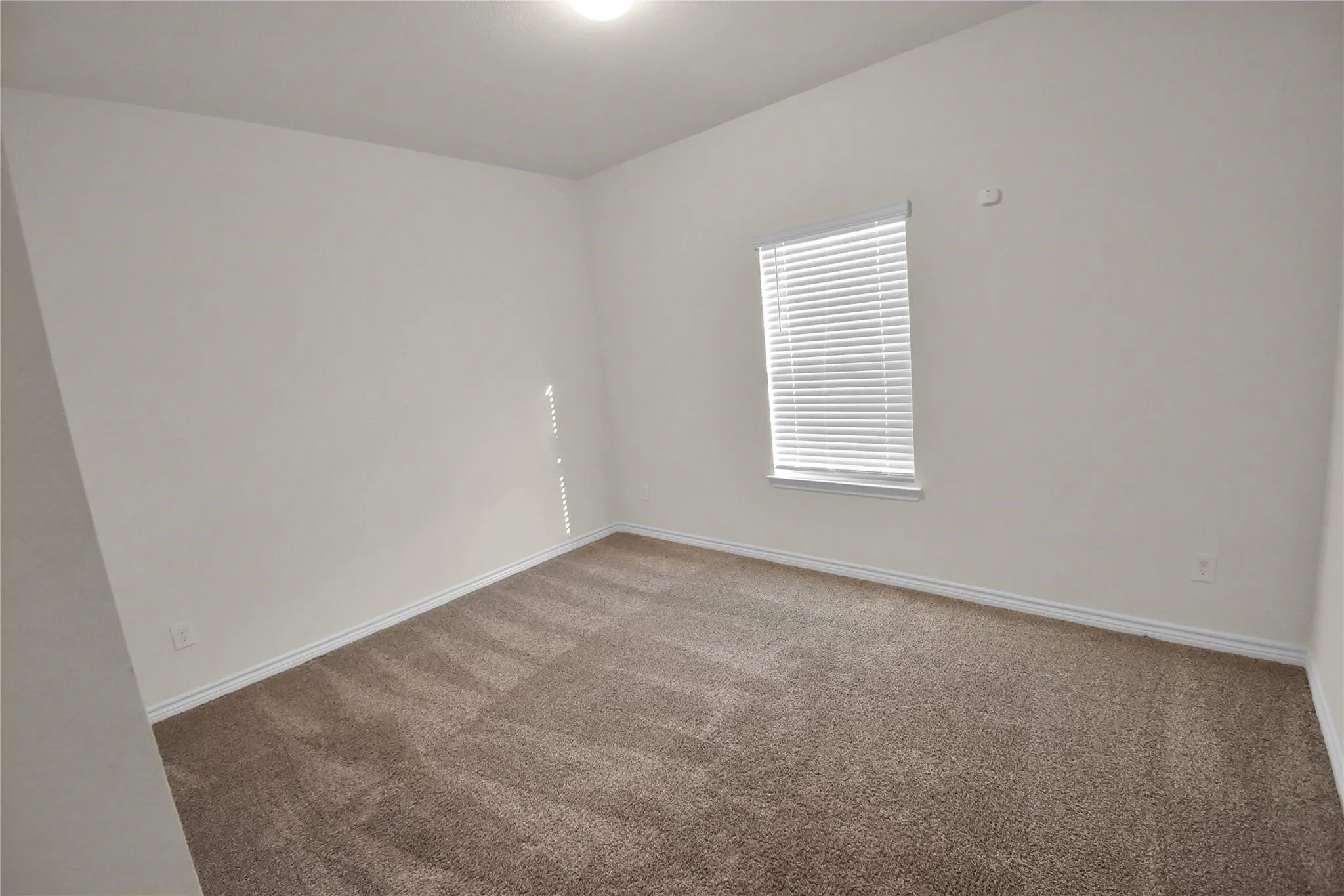 Neutral wall color, carpeted flooring, and a window with horizontal blinds