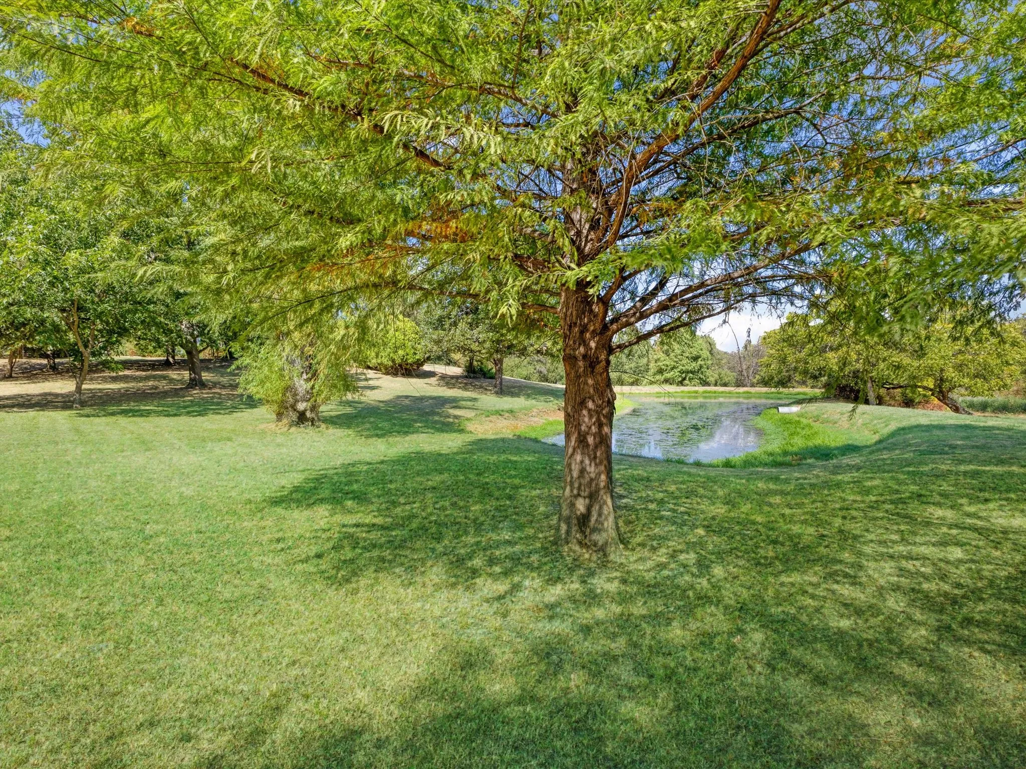 Improved Land For Sale in Denton County , 1333 Salt Branch, Little Elm, Texas 75068, 0, 0, Garage spaces, 0 Sqft, built in 1973, mls#21390737, Real Estate Agent in Little Elm, Homes For Sale in Denton county, Homes For Sale in Little Elm, Realtor in Little Elm Texas, Real Estate Brokerage Independent Realty Texas, Luminita Cordes Realtor