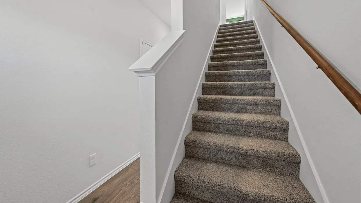 Carpeted staircase with wood handrail, white trim, and light gray walls