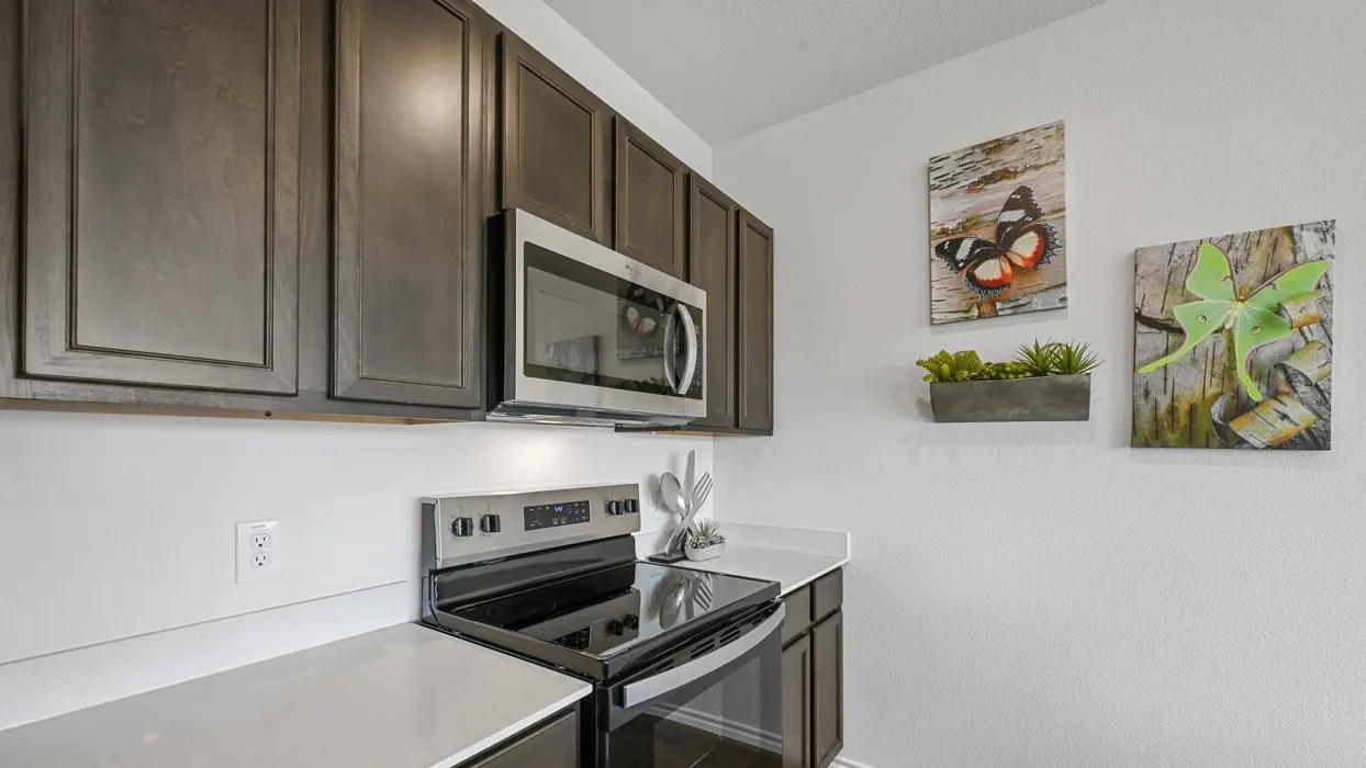 Stainless steel microwave and range, dark wood-finish cabinetry, and light-toned countertops