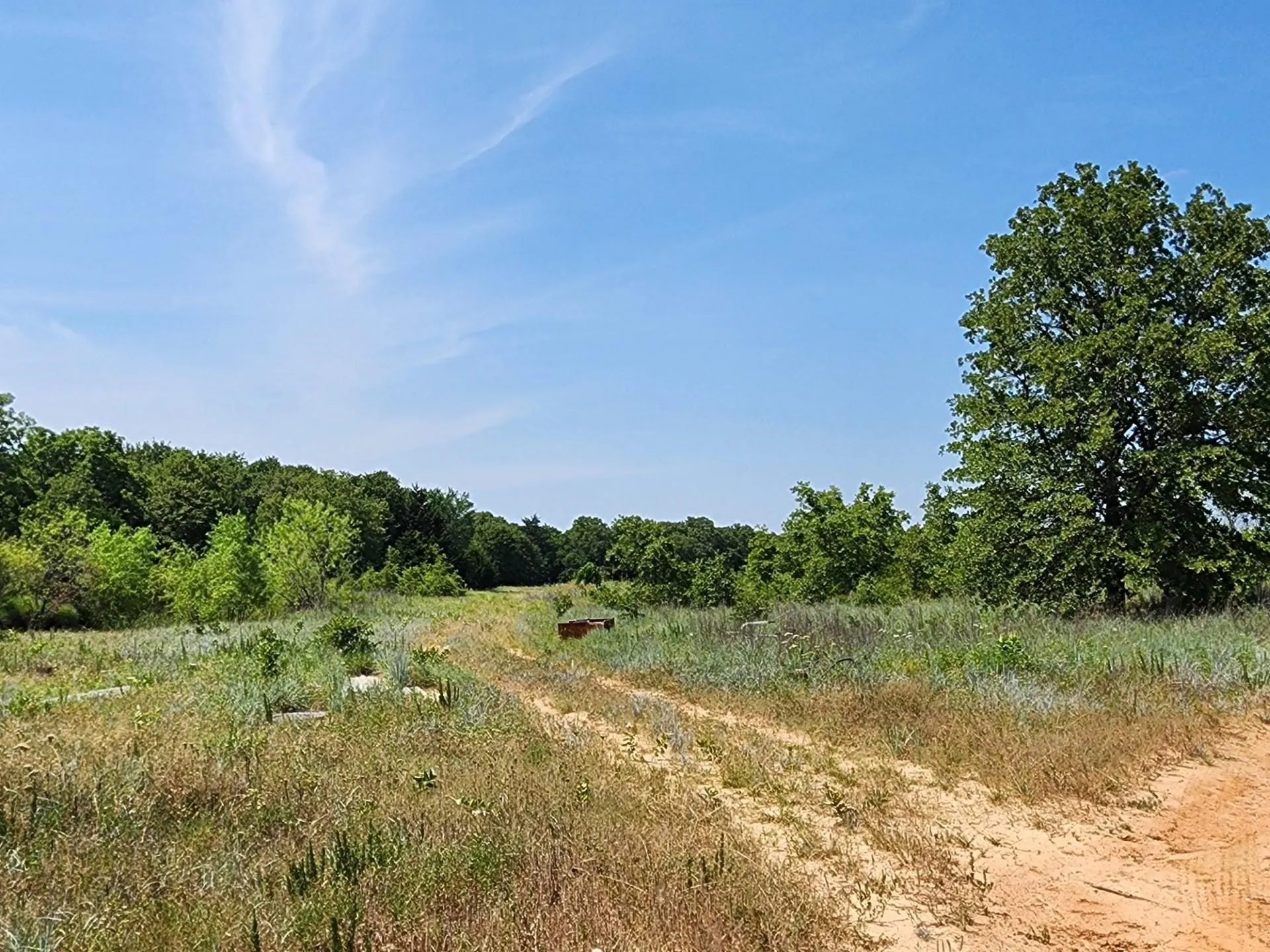 Unimproved Land For Sale in Wise County , 301 Timber Trail, Alvord, Texas 76225, 0, 0, Garage spaces, 0 Sqft, built in 0, mls#21390791, Real Estate Agent in Alvord, Homes For Sale in Wise county, Homes For Sale in Alvord, Realtor in Alvord Texas, Real Estate Brokerage Independent Realty Texas, Luminita Cordes Realtor