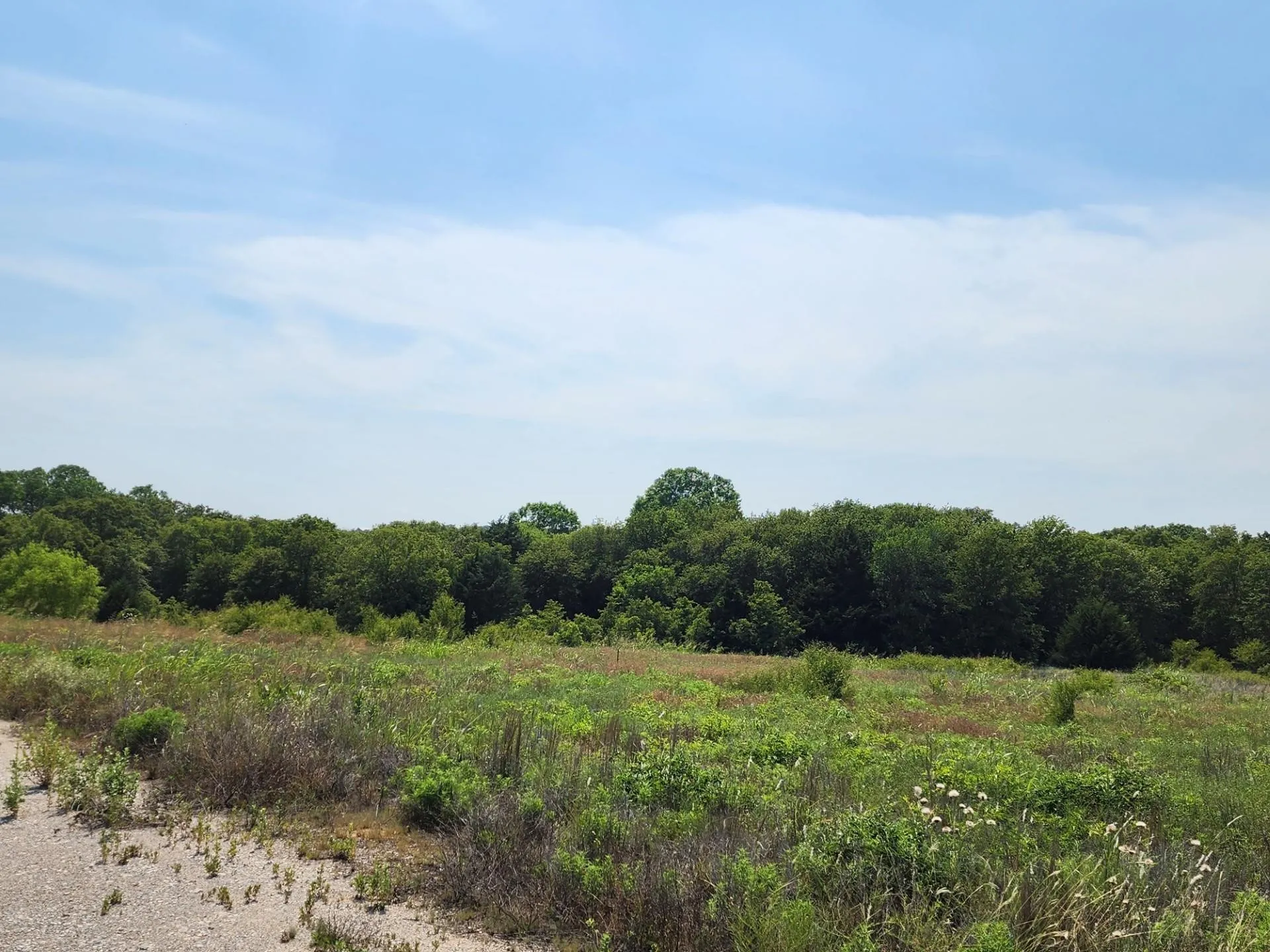 Unimproved Land For Sale in Wise County , 301 Timber Trail, Alvord, Texas 76225, 0, 0, Garage spaces, 0 Sqft, built in 0, mls#21390791, Real Estate Agent in Alvord, Homes For Sale in Wise county, Homes For Sale in Alvord, Realtor in Alvord Texas, Real Estate Brokerage Independent Realty Texas, Luminita Cordes Realtor