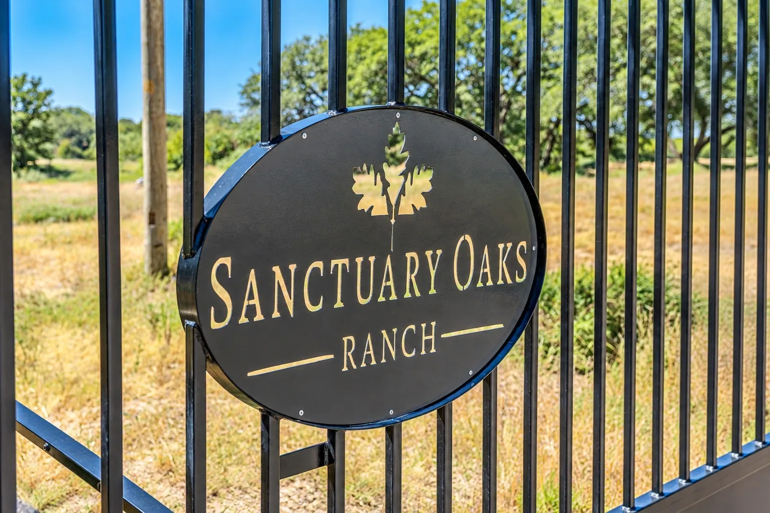 Unimproved Land For Sale in Hood County , 1034 Sanctuary Drive, Tolar, Texas 76476, 0, 0, Garage spaces, 0 Sqft, built in 2025, mls#21387985, Real Estate Agent in Tolar, Homes For Sale in Hood county, Homes For Sale in Tolar, Realtor in Tolar Texas, Real Estate Brokerage Independent Realty Texas, Luminita Cordes Realtor