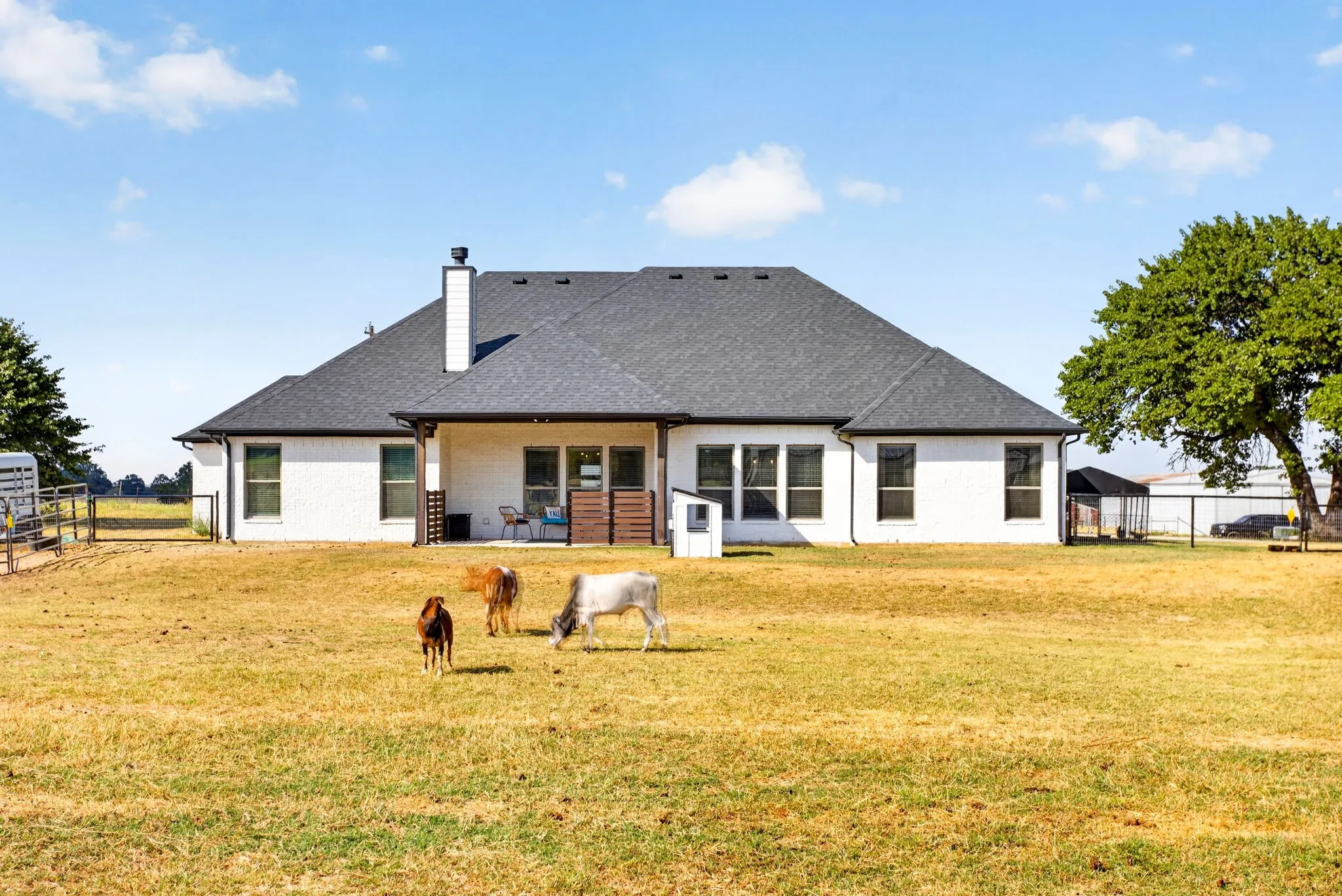 Back of the home; animals grazing.