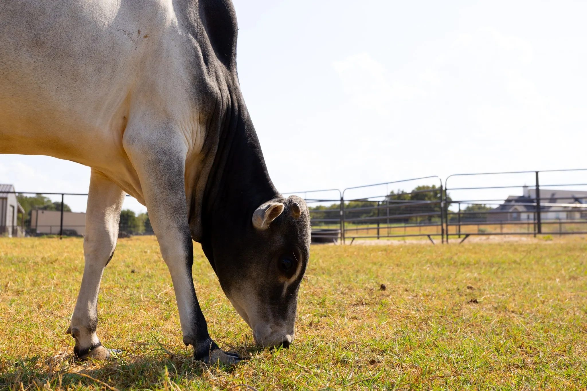 Ready to make your moooove? I know. We couldn't help it. Call us.
