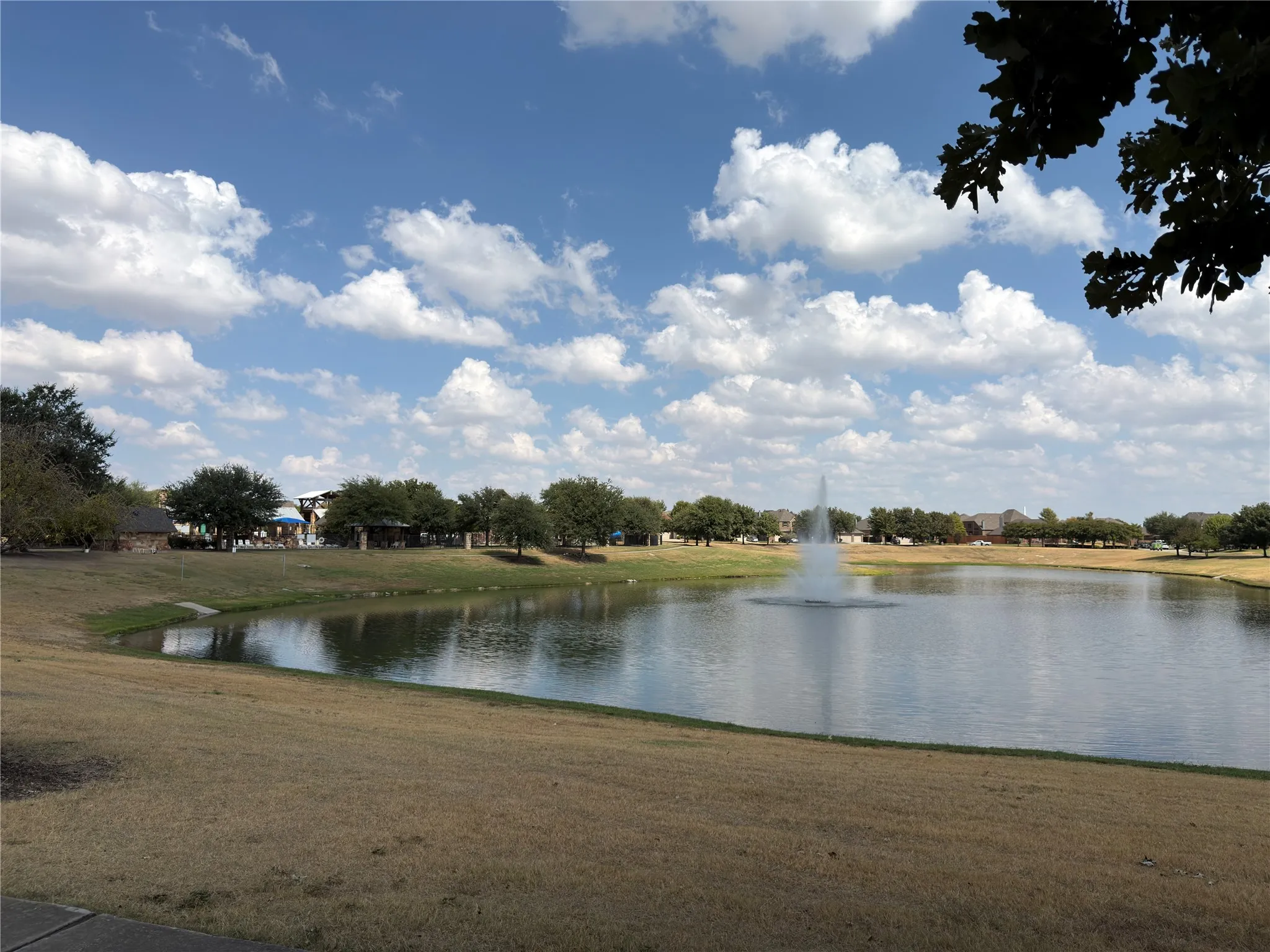 Pond with a water feature, surrounded by grassy banks and mature trees
