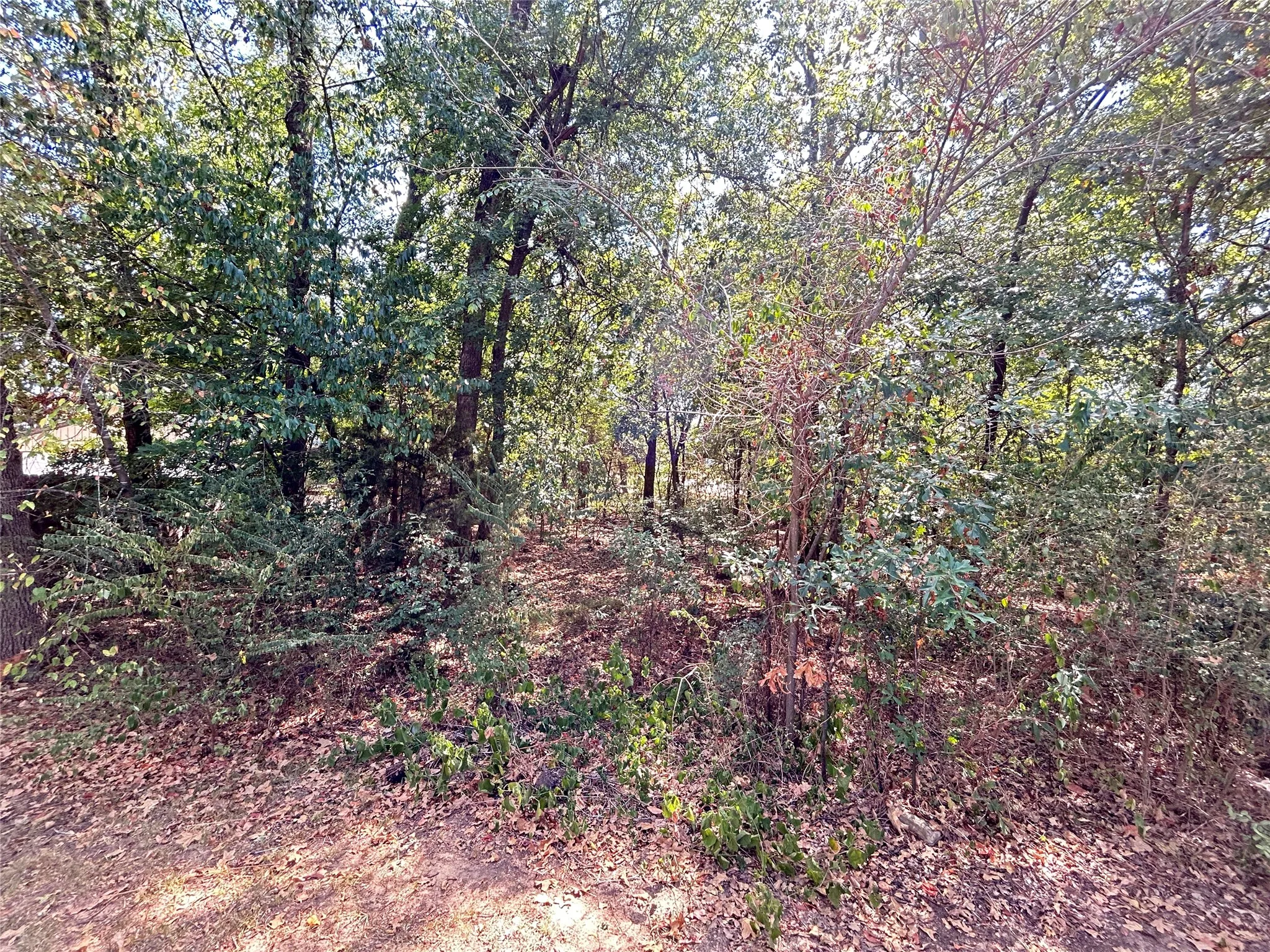 Single Family Residence For Sale in Hopkins County , 1328 Azalea Drive, Sulphur Springs, Texas 75482, 3 Bedroom, 3 Bathroom, 2 Garage spaces, 2,478 Sqft, built in 1995, mls#21390806, Real Estate Agent in Sulphur Springs, Homes For Sale in Hopkins county, Homes For Sale in Sulphur Springs, Realtor in Sulphur Springs Texas, Real Estate Brokerage Independent Realty Texas, Luminita Cordes Realtor