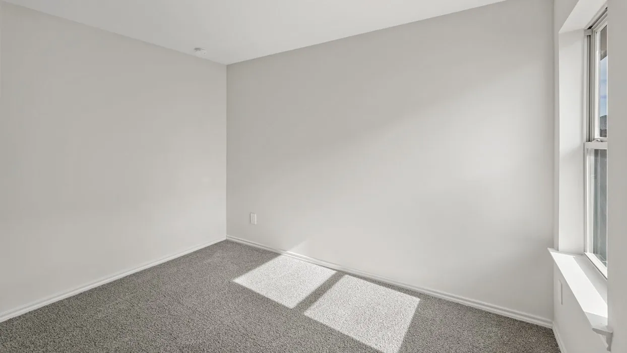 Wall-to-wall carpeting with light-toned walls and a single recessed light fixture