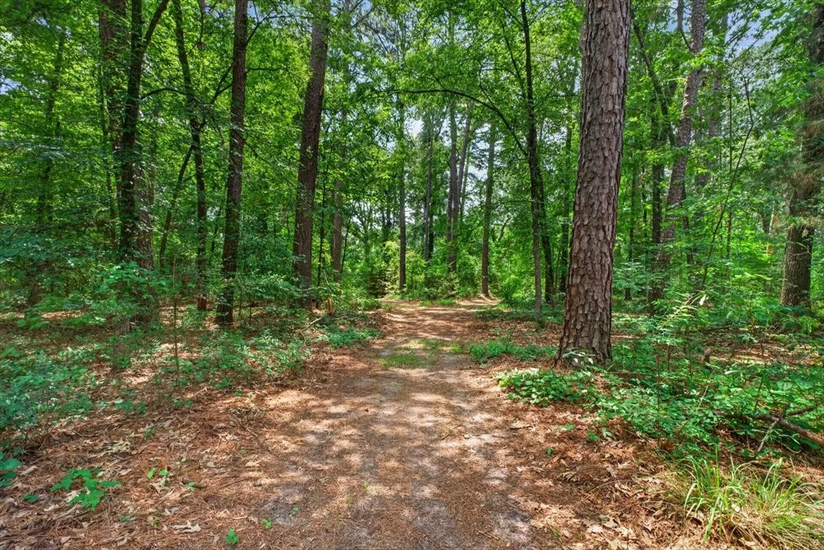 Single Family Residence For Sale in Henderson County , 21277 Joe Paul Lane R, Chandler, Texas 75758, 2 Bedroom, 2 Bathroom, 3 Garage spaces, 1,400 Sqft, built in 2023, mls#21366376, Real Estate Agent in Chandler, Homes For Sale in Henderson county, Homes For Sale in Chandler, Realtor in Chandler Texas, Real Estate Brokerage Independent Realty Texas, Luminita Cordes Realtor
