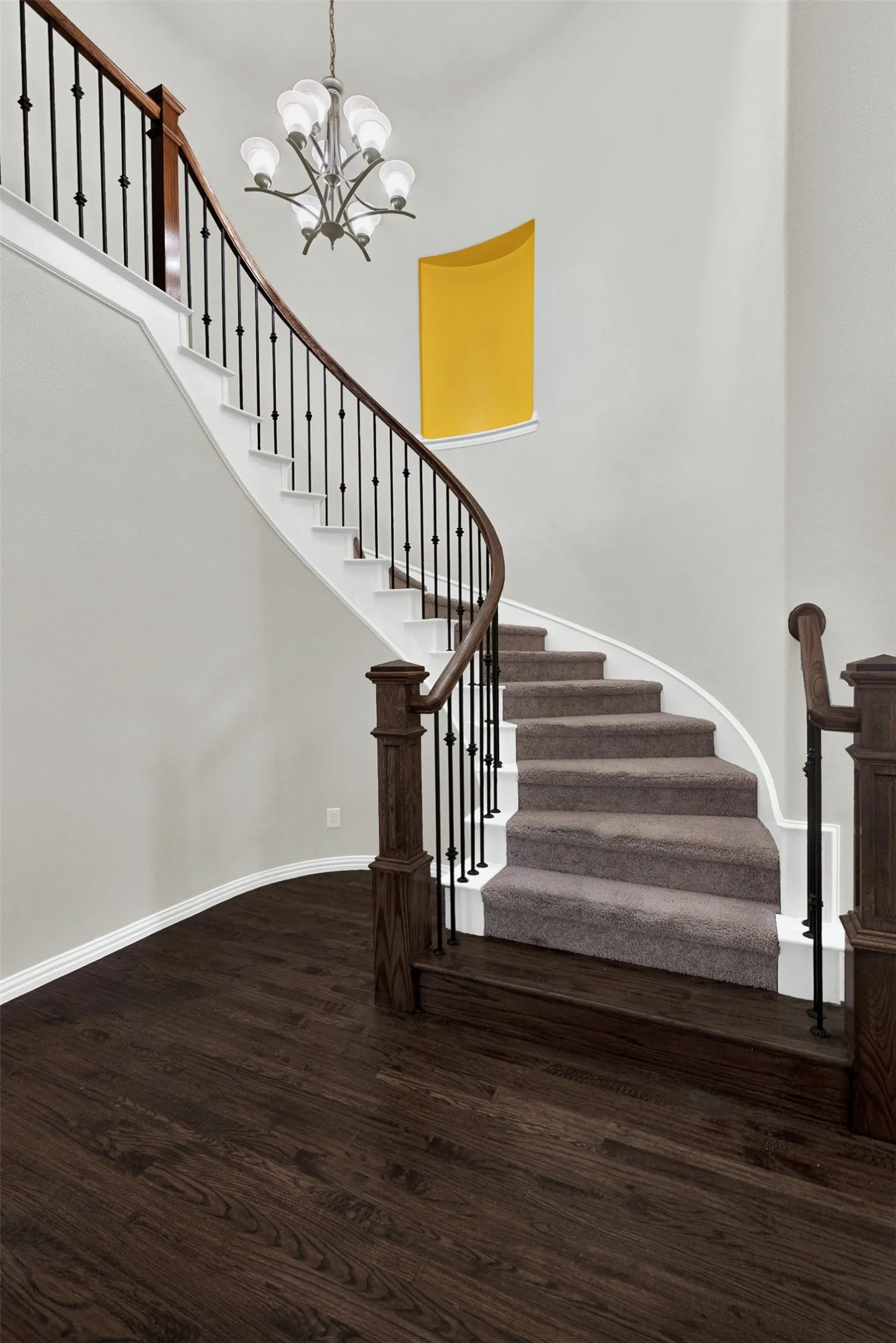 Curved staircase featuring dark wood newel posts and handrails, black iron balusters, and carpeted treads