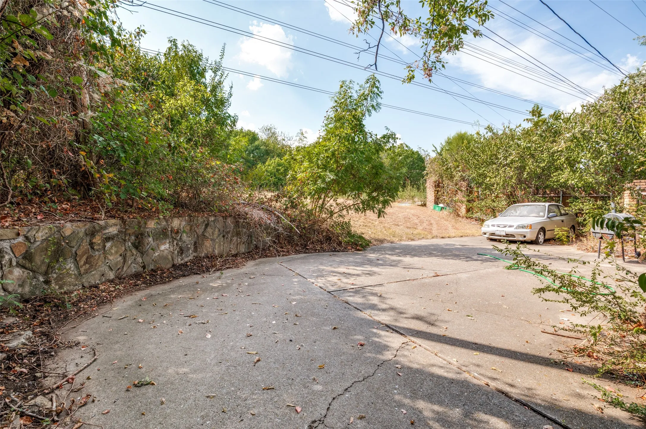 Stone retaining wall with established trees and foliage