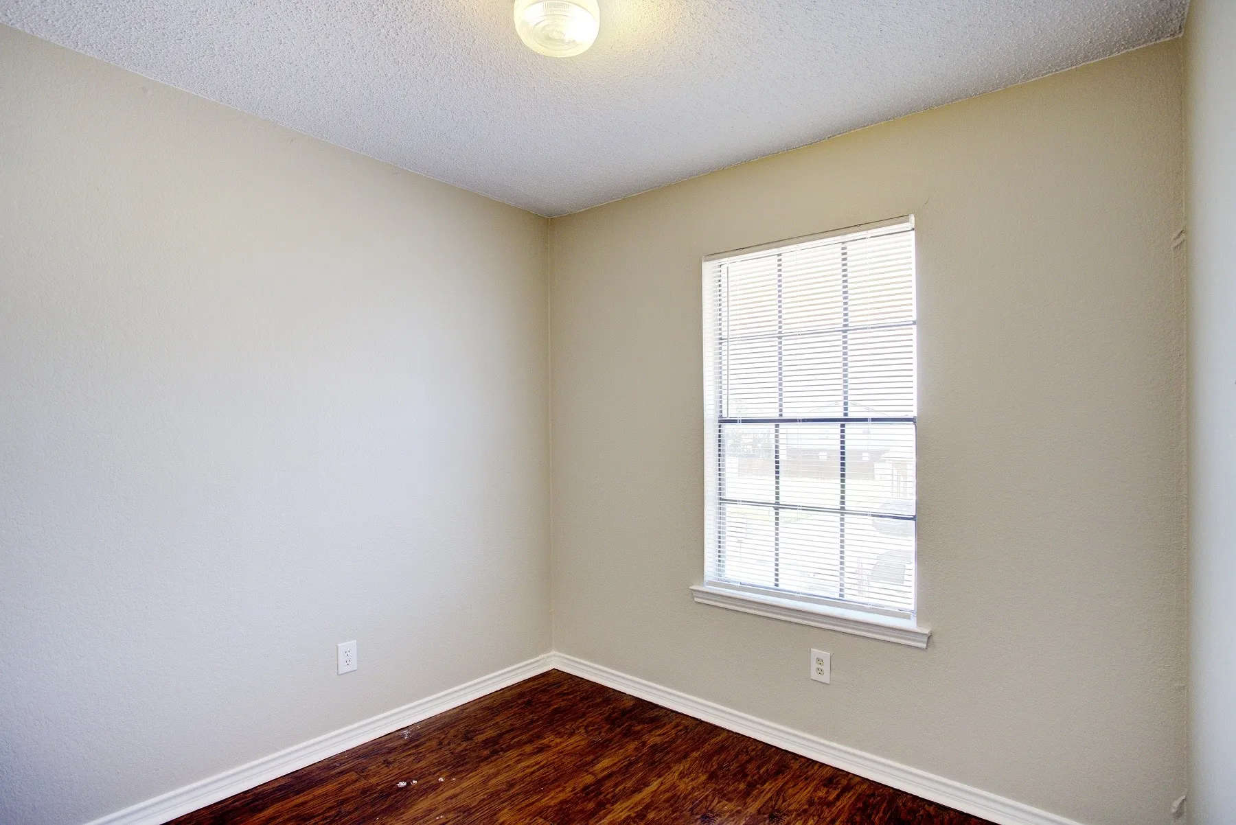 Light-toned walls, wood-finish flooring, white window trim, and a ceiling-mounted light fixture