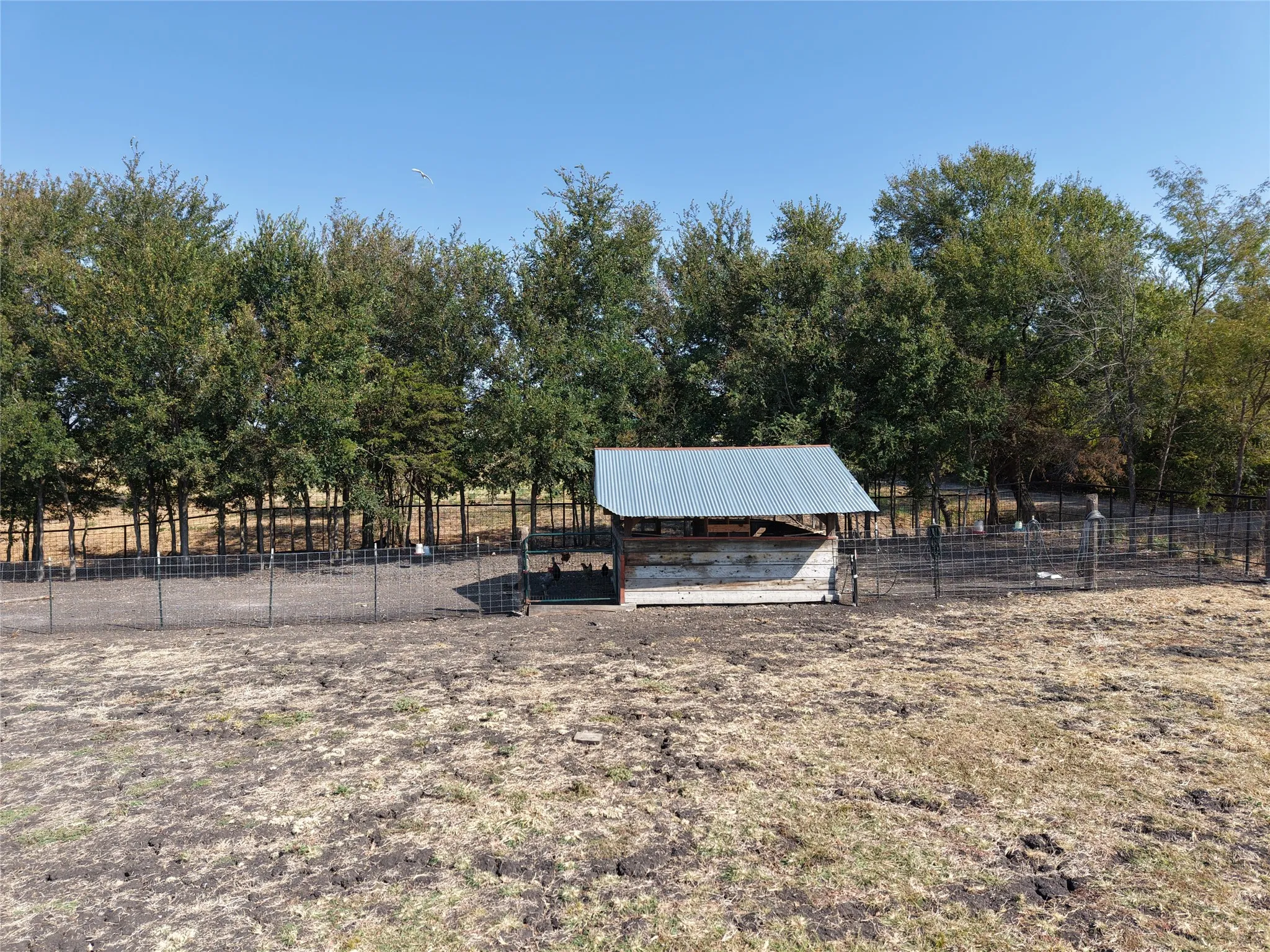 Ranch For Sale in Hunt County , 7580 County Road 4807, Ladonia, Texas 75449, 0, 0, Garage spaces, 0 Sqft, built in 0, mls#21390744, Real Estate Agent in Ladonia, Homes For Sale in Hunt county, Homes For Sale in Ladonia, Realtor in Ladonia Texas, Real Estate Brokerage Independent Realty Texas, Luminita Cordes Realtor