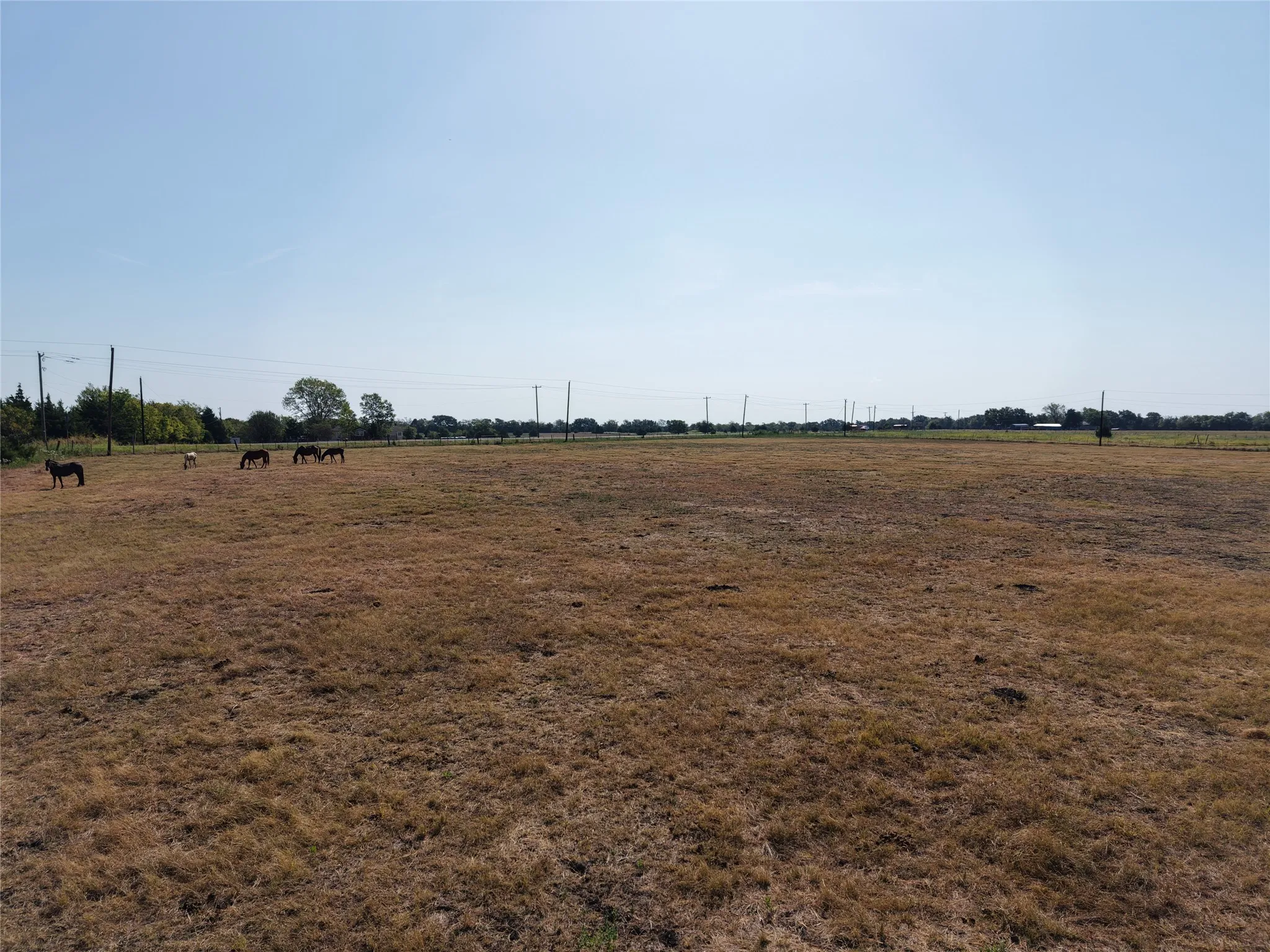 Ranch For Sale in Hunt County , 7580 County Road 4807, Ladonia, Texas 75449, 0, 0, Garage spaces, 0 Sqft, built in 0, mls#21390744, Real Estate Agent in Ladonia, Homes For Sale in Hunt county, Homes For Sale in Ladonia, Realtor in Ladonia Texas, Real Estate Brokerage Independent Realty Texas, Luminita Cordes Realtor