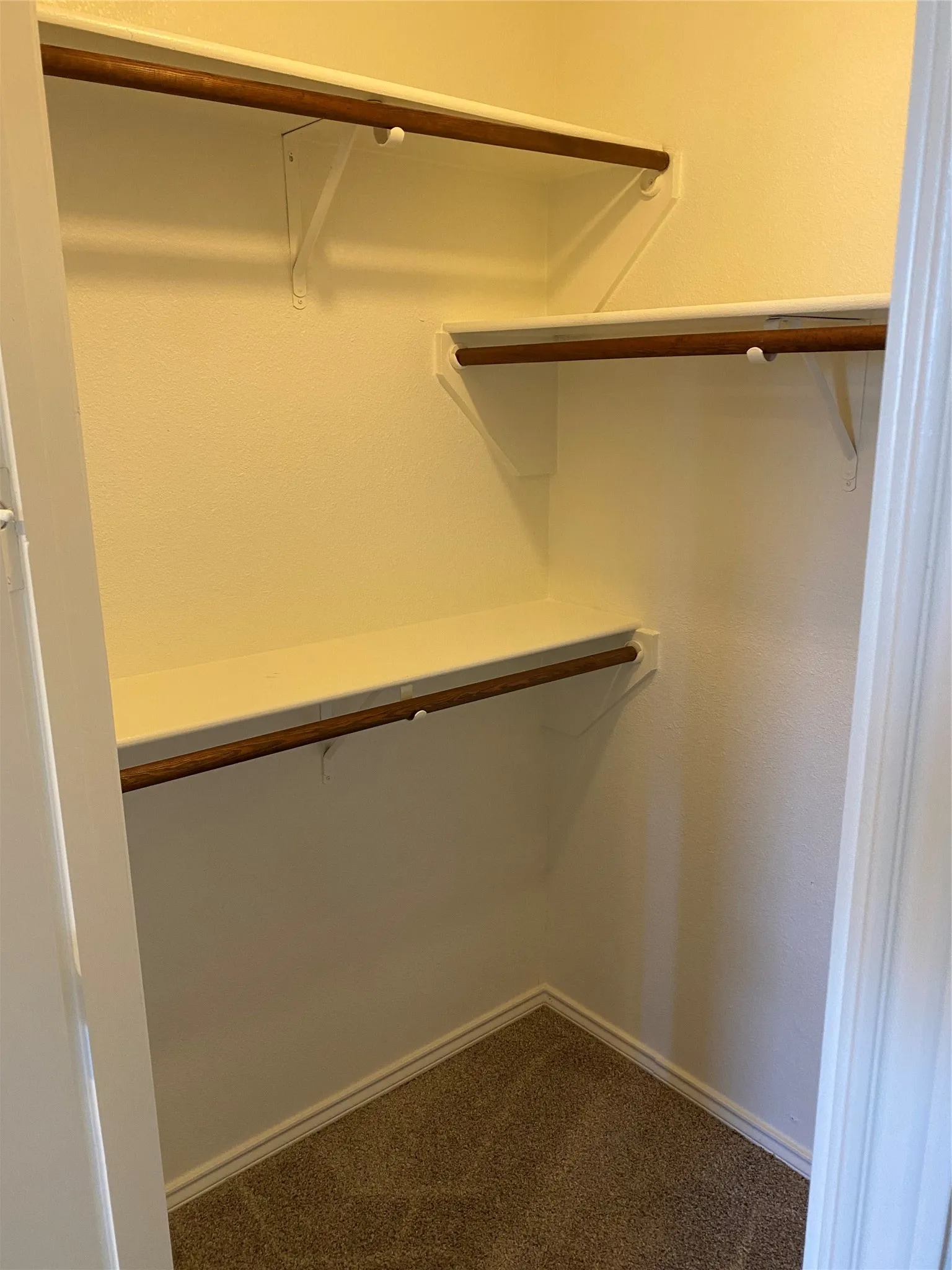 White interior walls with brown carpet flooring, featuring two wood-finish hanging rods and two white shelves
