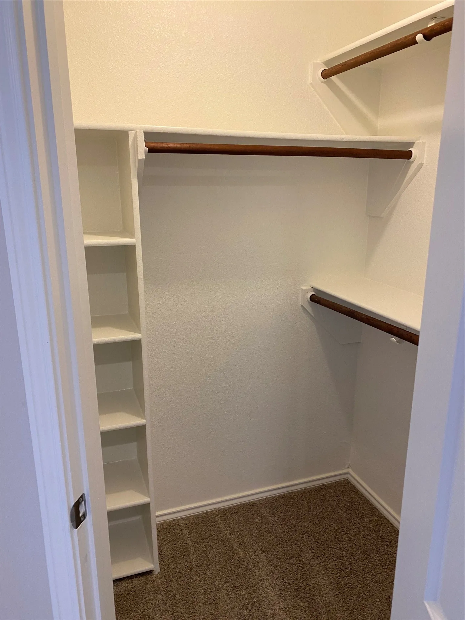 Built-in shelving, two wood-finish hanging rods, and neutral carpet flooring