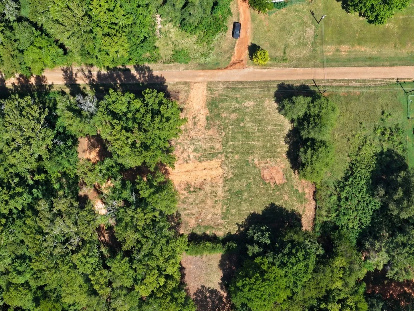 Improved Land For Sale in Cherokee County , 824 Balmorea Drive, Bullard, Texas 75757, 0, 0, Garage spaces, 0 Sqft, built in 1998, mls#21390889, Real Estate Agent in Bullard, Homes For Sale in Cherokee county, Homes For Sale in Bullard, Realtor in Bullard Texas, Real Estate Brokerage Independent Realty Texas, Luminita Cordes Realtor