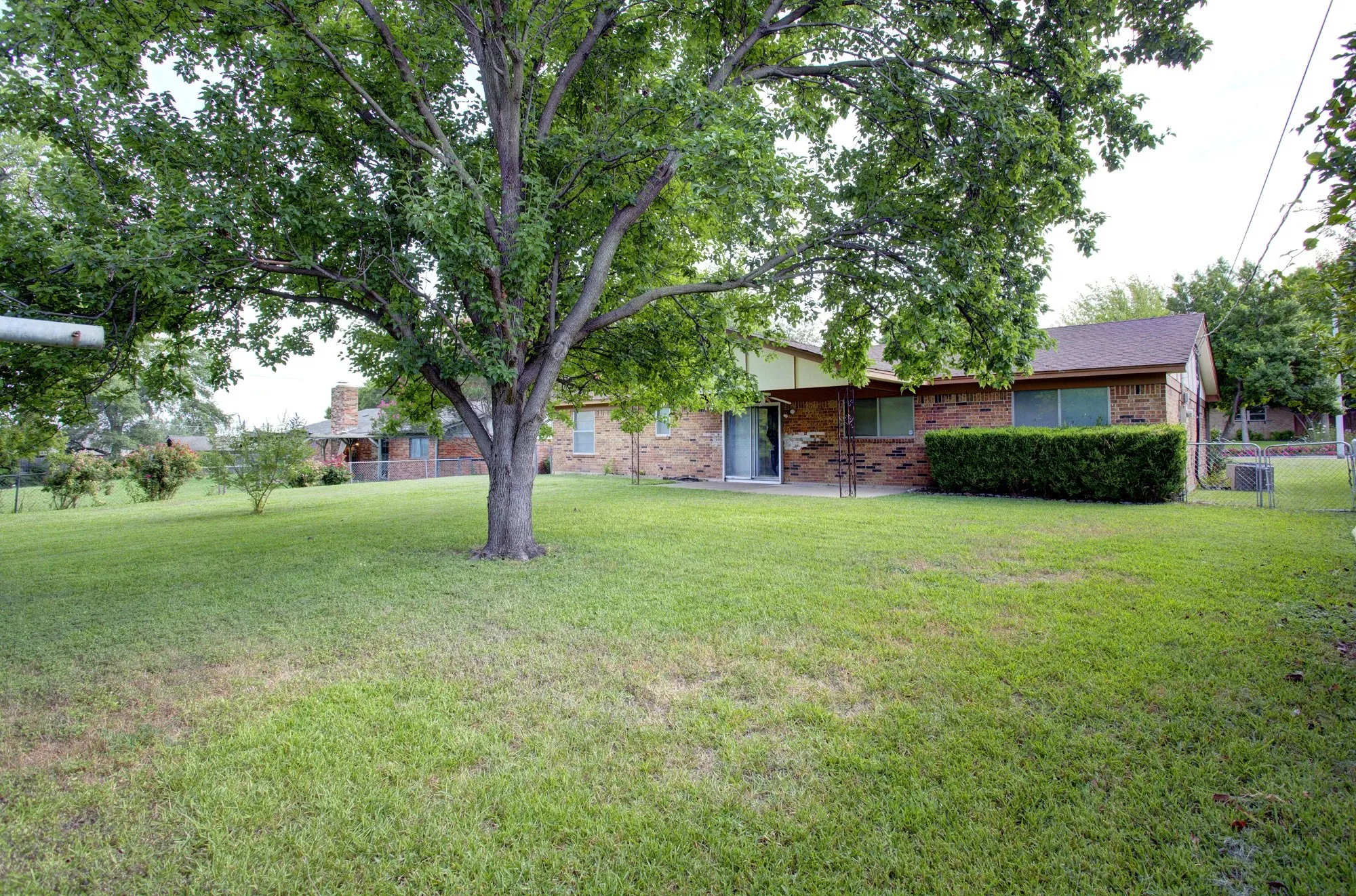 Expansive lawn with a mature tree and established shrubbery