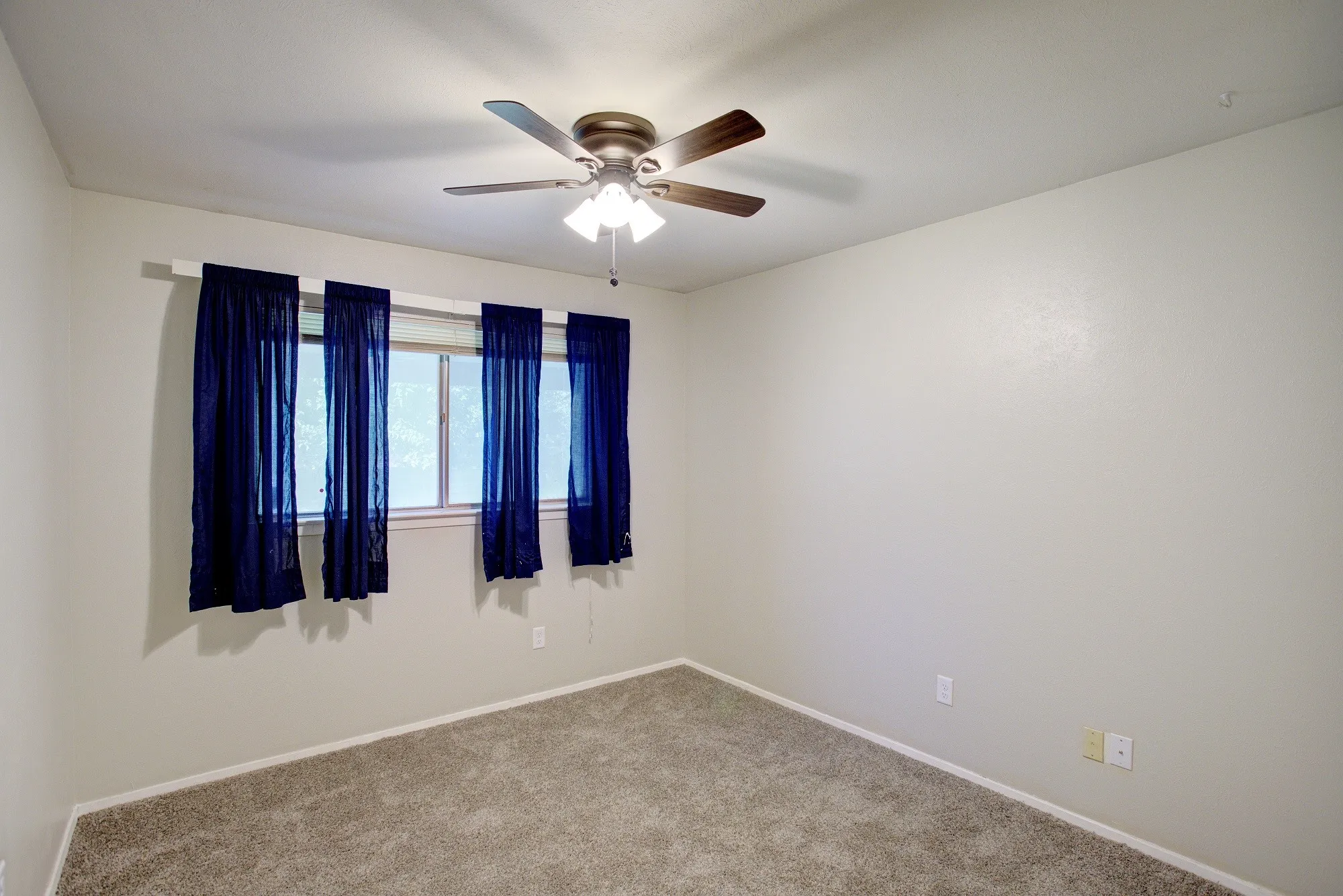 Neutral wall finishes, textured carpeting, and a ceiling fan with integrated lighting