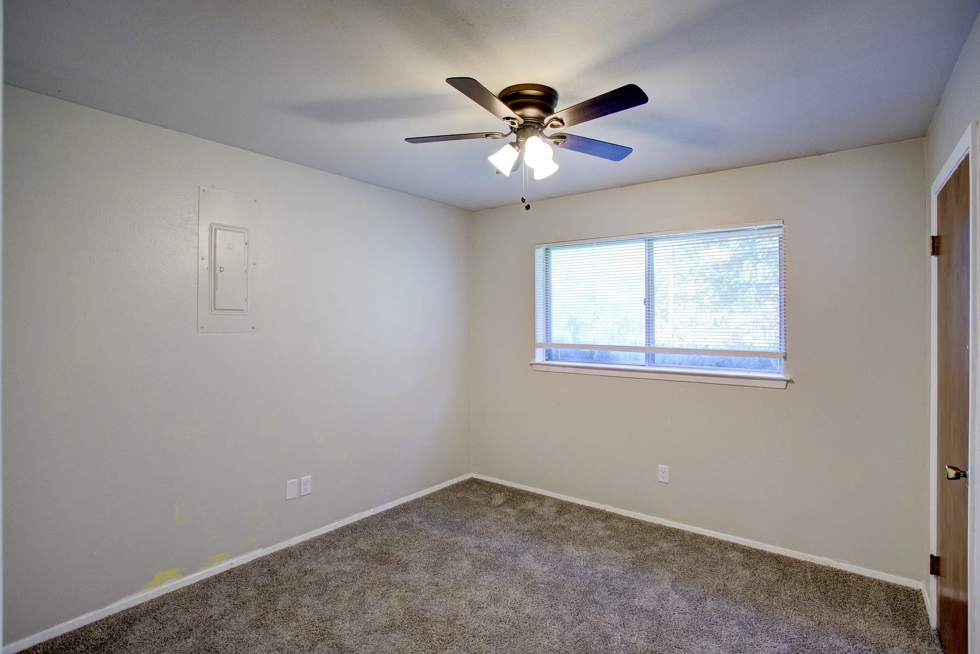 Ceiling fan with integrated lighting, window with horizontal blinds, wood-finish door, and carpet flooring