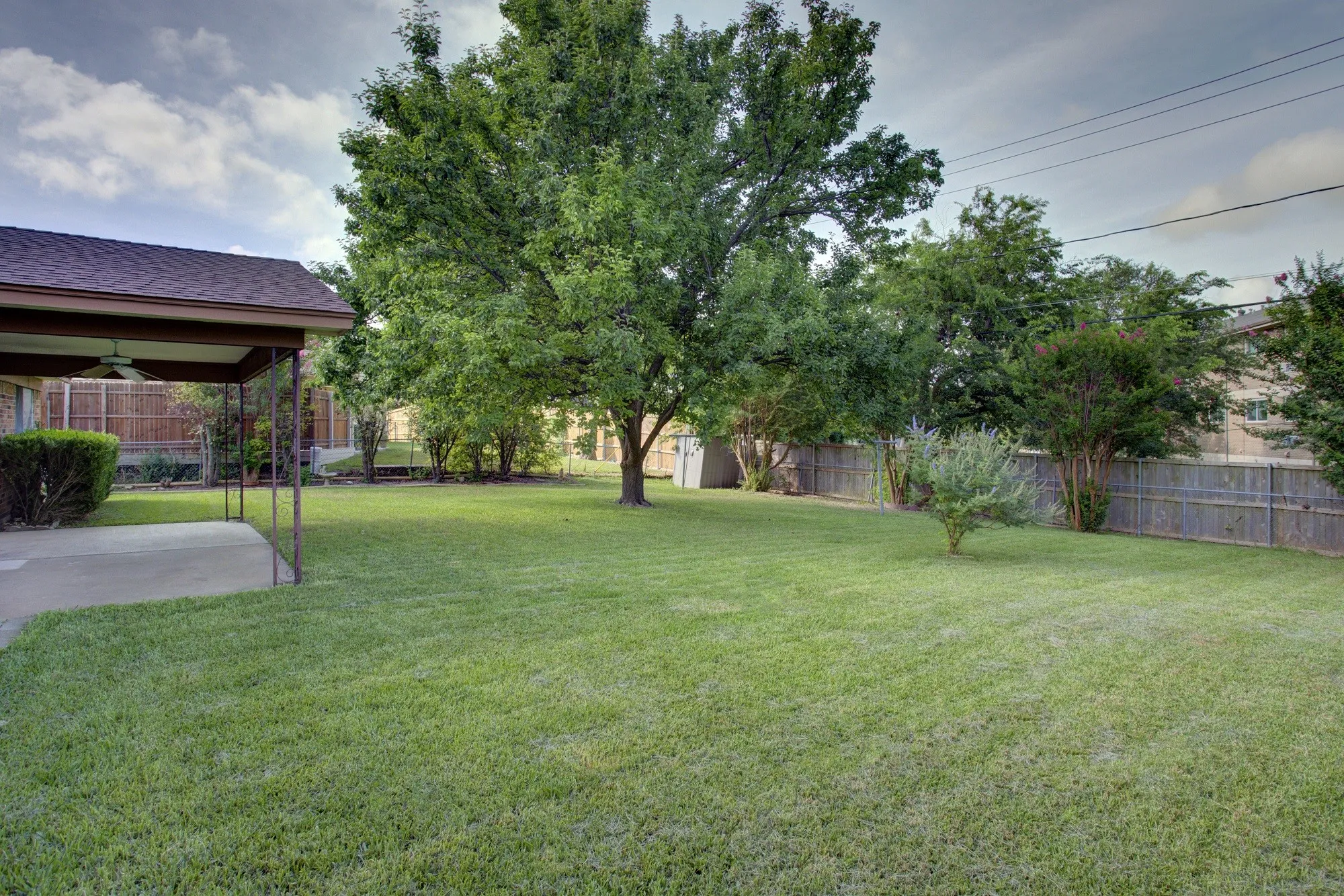 Expansive backyard featuring a large tree, mature landscaping, and a covered patio with a ceiling fan
