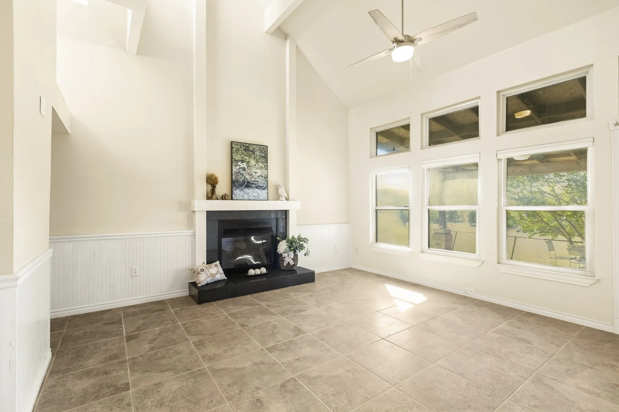 Gas Decorative Fireplace