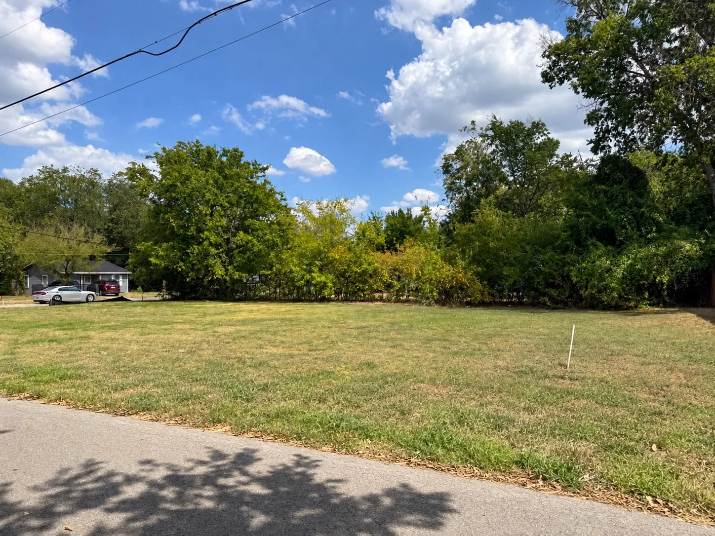 Grassed lot with mature perimeter trees