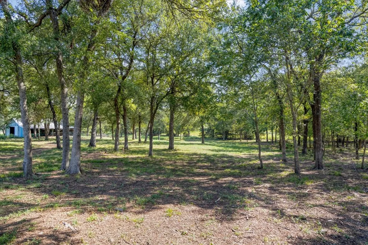 Unimproved Land For Sale in Grayson County , 5274 Preston Road (Lot 2), Denison, Texas 75020, 0, 0, Garage spaces, 0 Sqft, built in 0, mls#21390903, Real Estate Agent in Denison, Homes For Sale in Grayson county, Homes For Sale in Denison, Realtor in Denison Texas, Real Estate Brokerage Independent Realty Texas, Luminita Cordes Realtor
