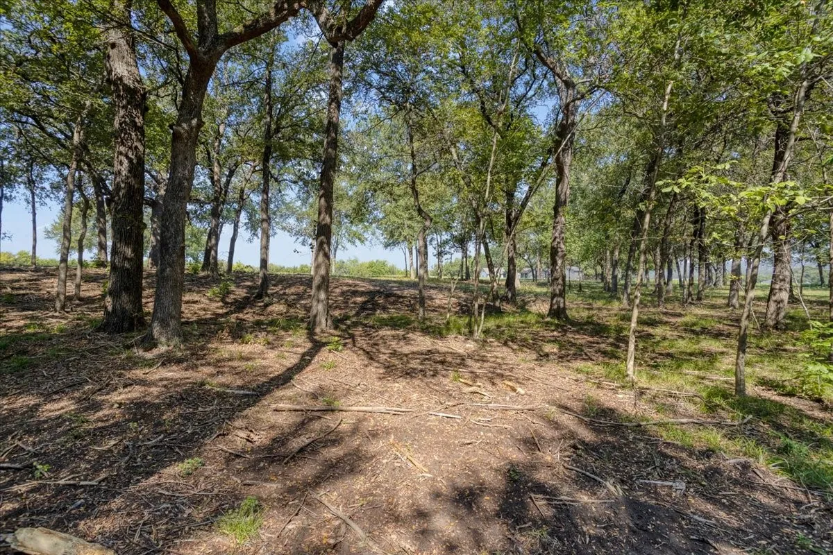 Unimproved Land For Sale in Grayson County , 5266 Preston Road (Lot 3), Denison, Texas 75020, 0, 0, Garage spaces, 0 Sqft, built in 0, mls#21390908, Real Estate Agent in Denison, Homes For Sale in Grayson county, Homes For Sale in Denison, Realtor in Denison Texas, Real Estate Brokerage Independent Realty Texas, Luminita Cordes Realtor