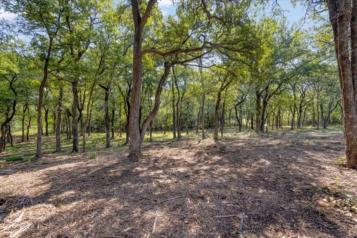 Unimproved Land For Sale in Grayson County , 5266 Preston Road (Lot 3), Denison, Texas 75020, 0, 0, Garage spaces, 0 Sqft, built in 0, mls#21390908, Real Estate Agent in Denison, Homes For Sale in Grayson county, Homes For Sale in Denison, Realtor in Denison Texas, Real Estate Brokerage Independent Realty Texas, Luminita Cordes Realtor
