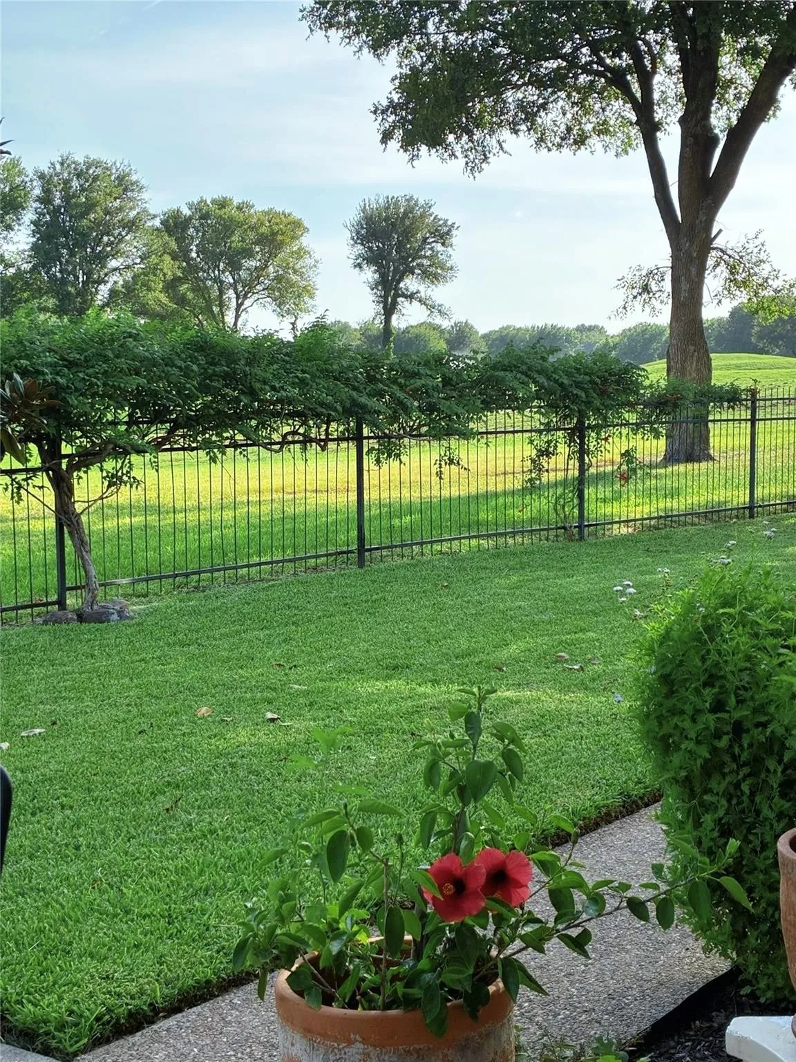 Single Family Residence For Rent in Collin County , 5203 Quail Creek Drive, Mc Kinney, Texas 75072, 4 Bedroom, 3 Bathroom, 2 Garage spaces, 2,246 Sqft, built in 1989, mls#21390958, Real Estate Agent in Mc Kinney, Homes For Rent in Collin county, Homes For Rent in Mc Kinney, Realtor in Mc Kinney Texas, Real Estate Brokerage Independent Realty Texas, Luminita Cordes Realtor