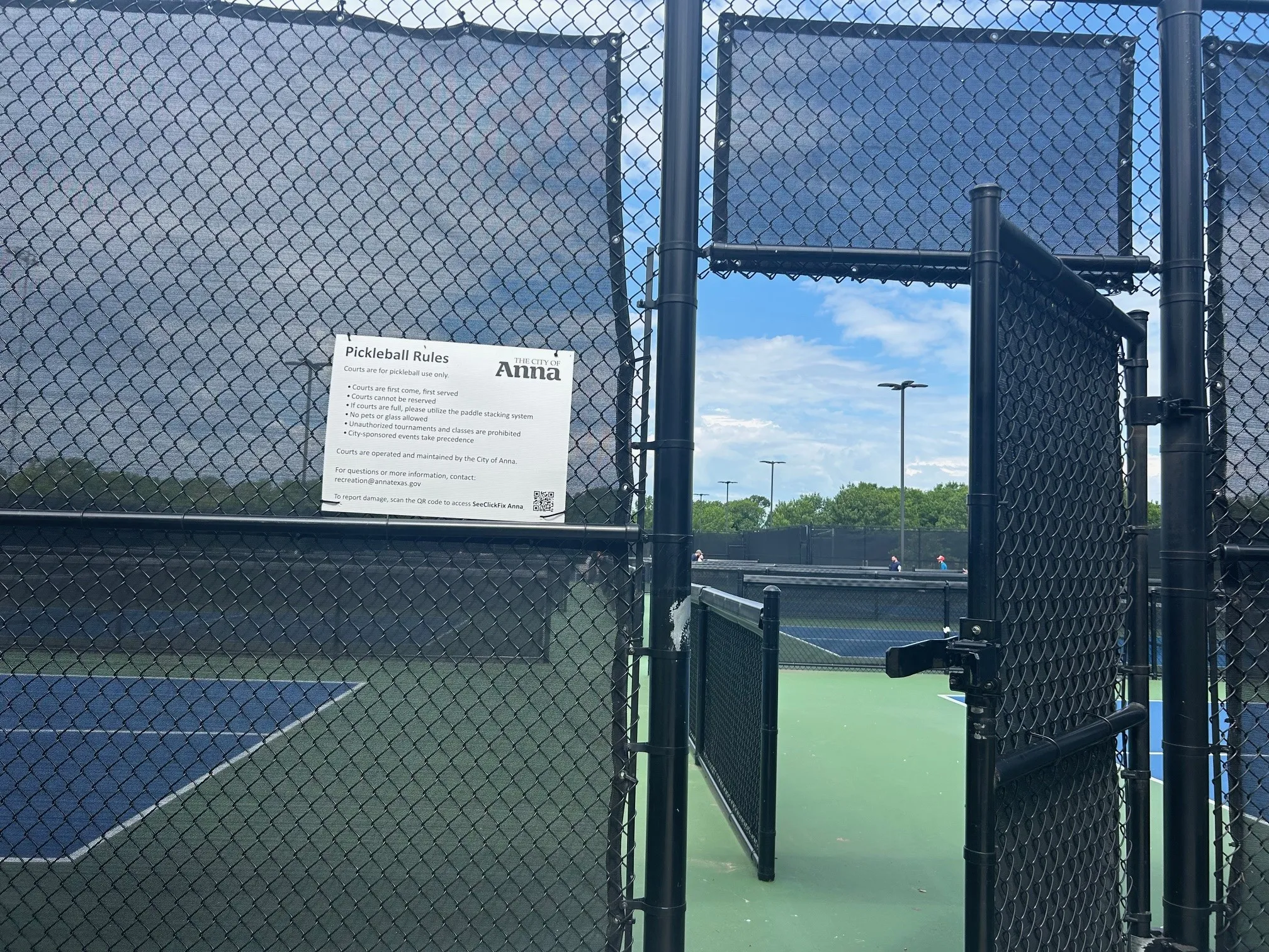 Pickle ball