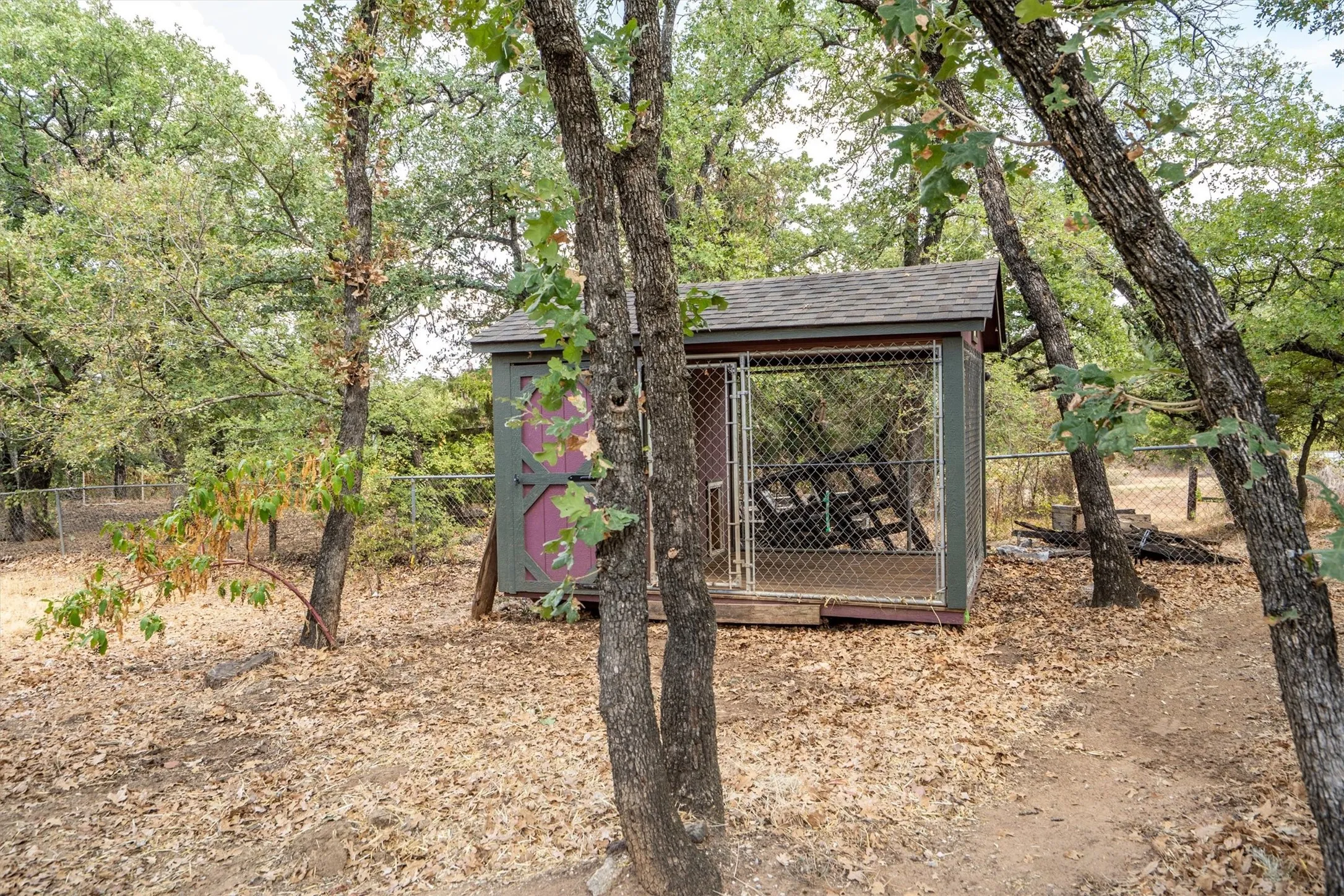 Dog Kennel