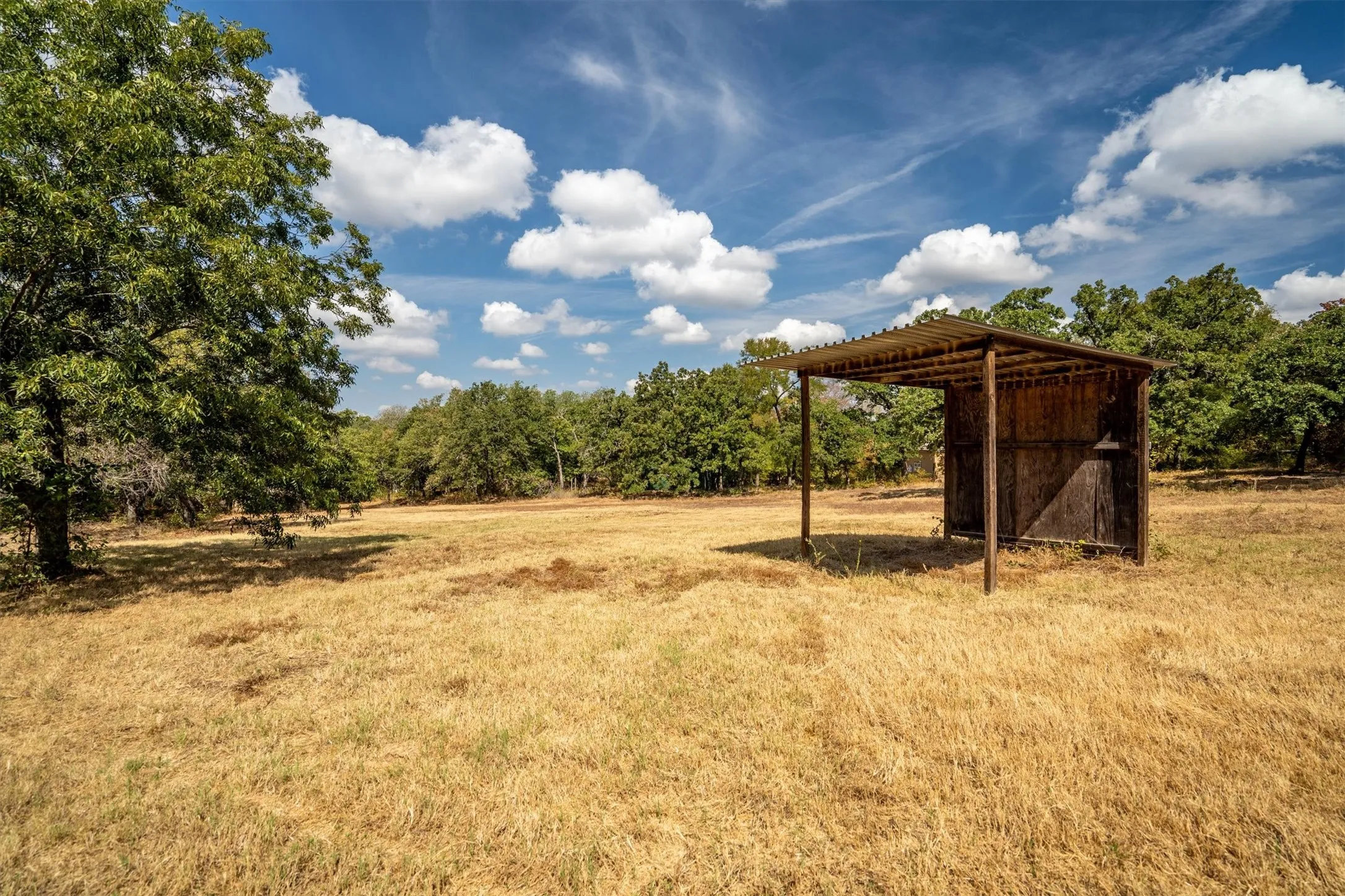 Loafing Shed