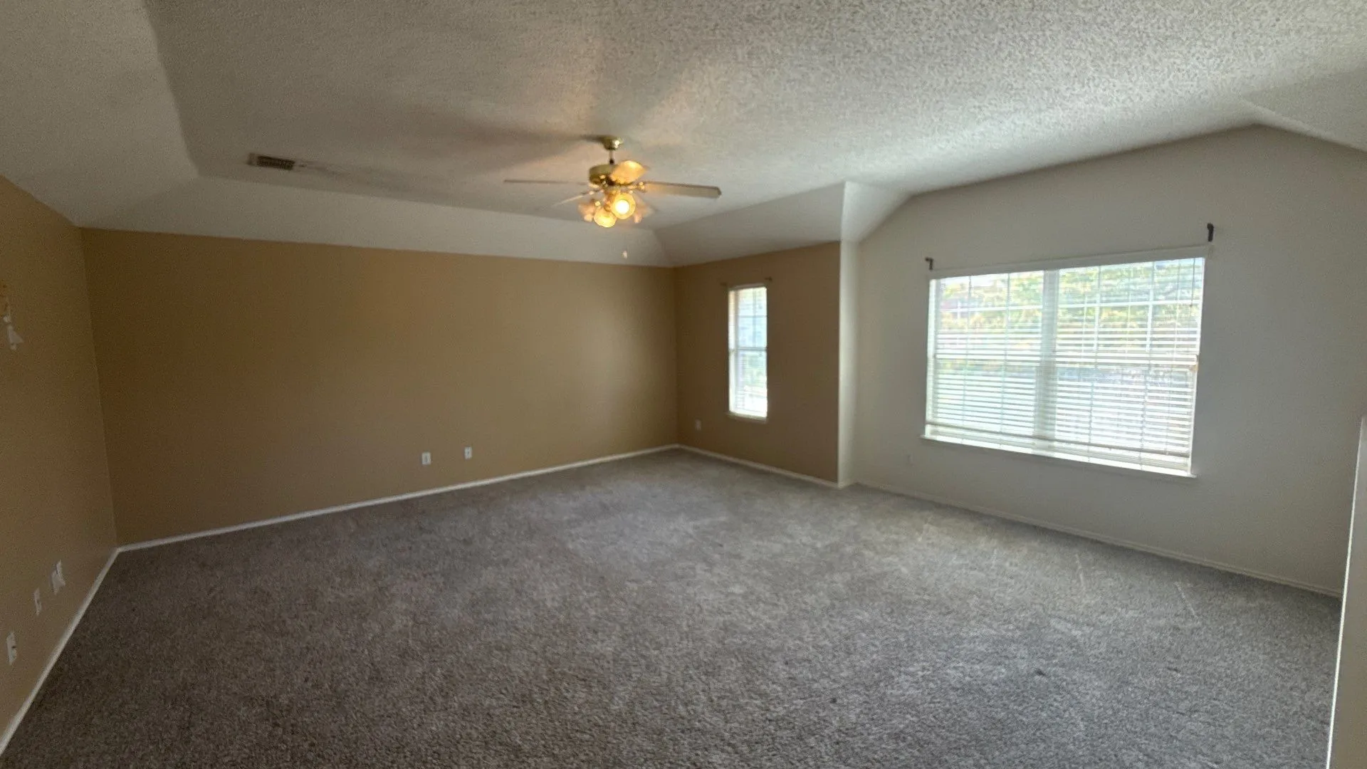Tray ceiling, ceiling fan, carpet flooring, multiple windows, window blinds